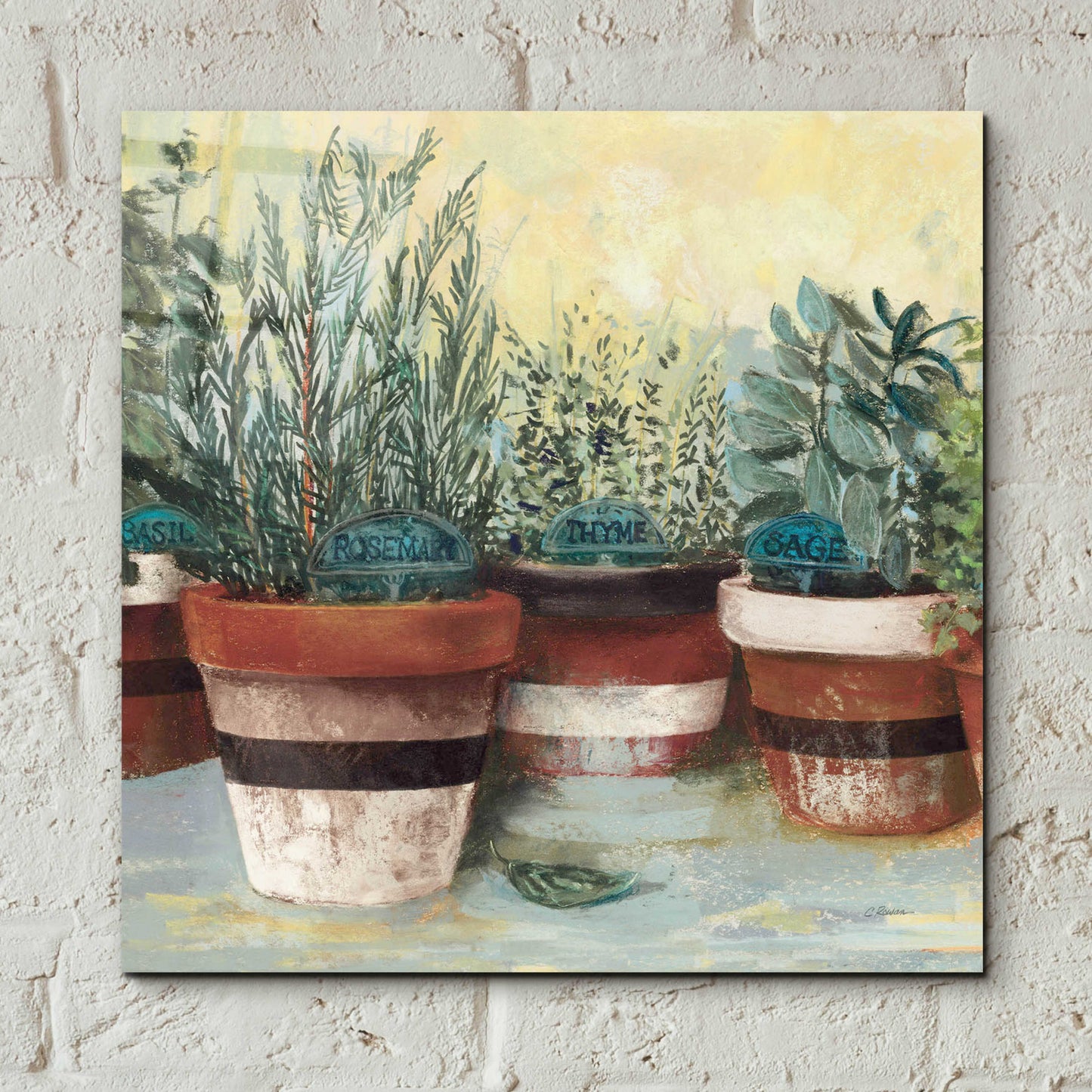 Epic Art 'Potted Herbs II Stripes Crop' by Carol Rowan, Acrylic Glass Wall Art,12x12