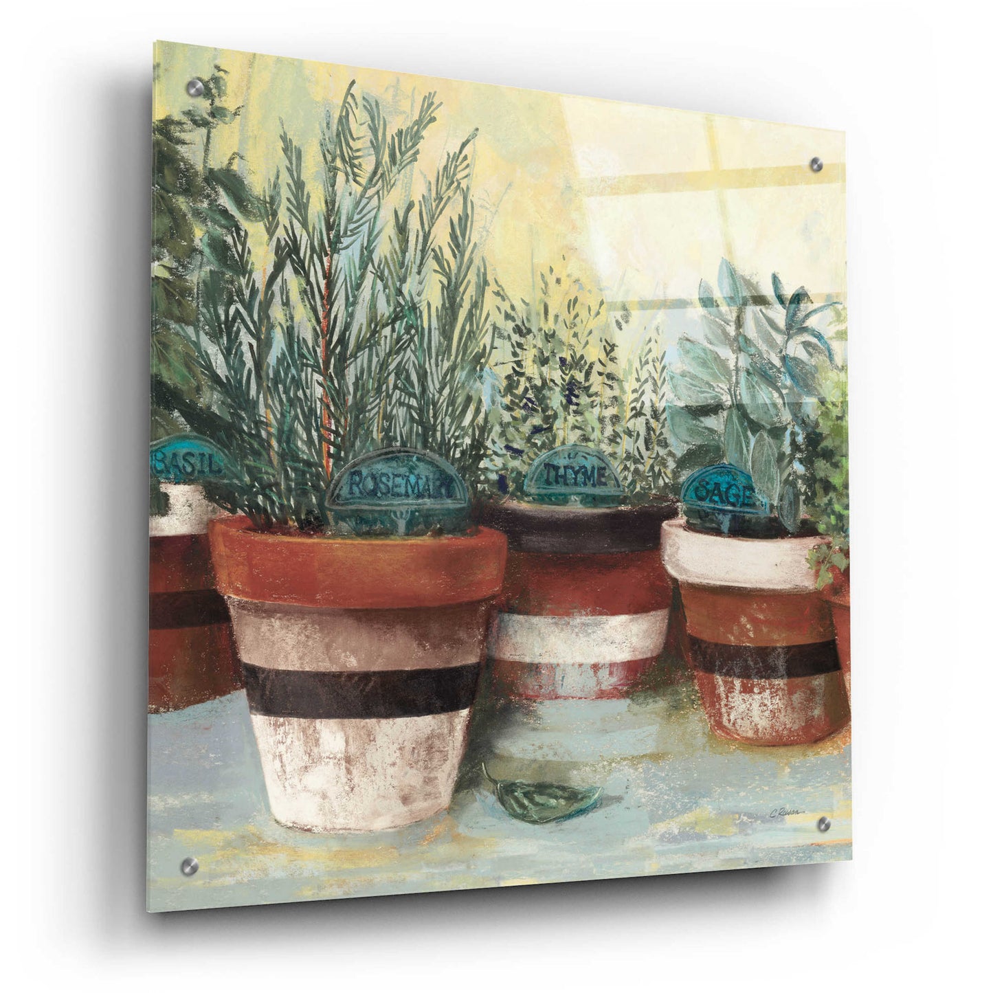 Epic Art 'Potted Herbs II Stripes Crop' by Carol Rowan, Acrylic Glass Wall Art,24x24