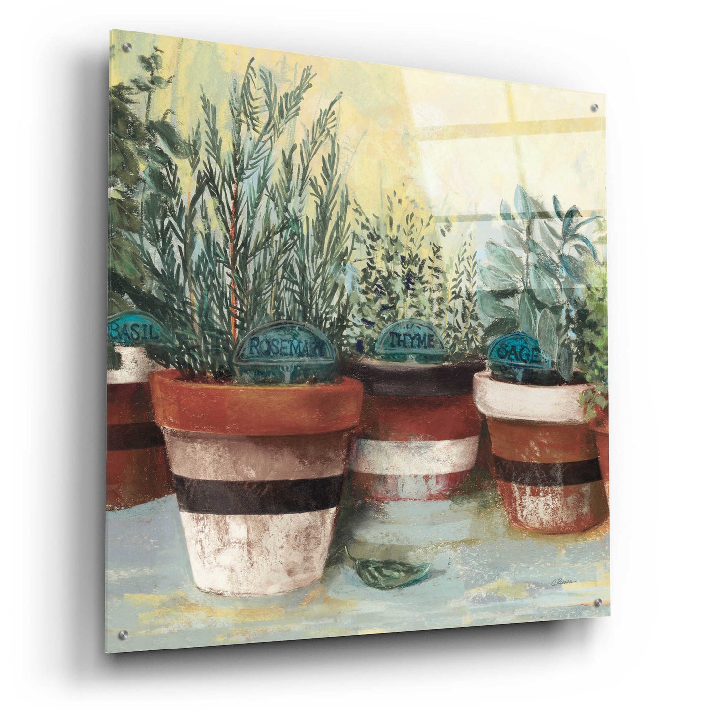 Epic Art 'Potted Herbs II Stripes Crop' by Carol Rowan, Acrylic Glass Wall Art,36x36