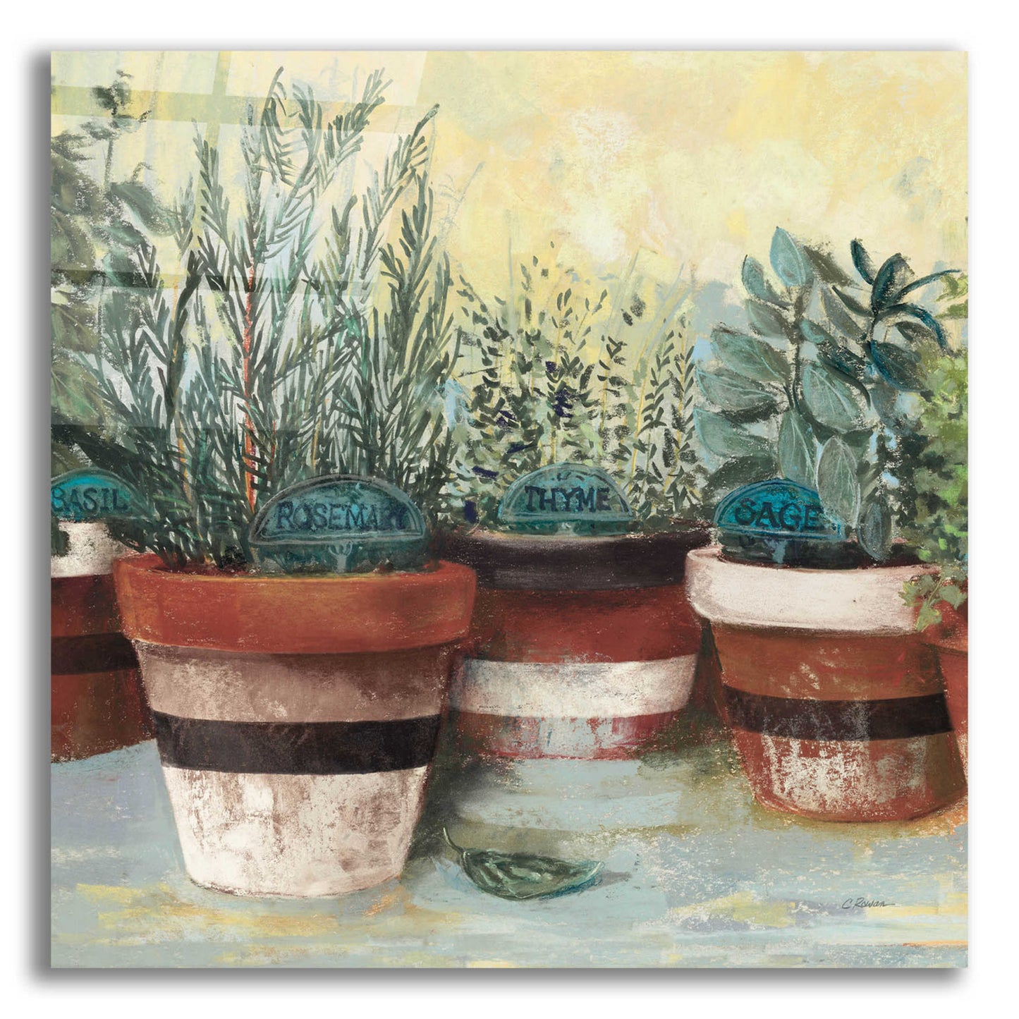 Epic Art 'Potted Herbs II Stripes Crop' by Carol Rowan, Acrylic Glass Wall Art