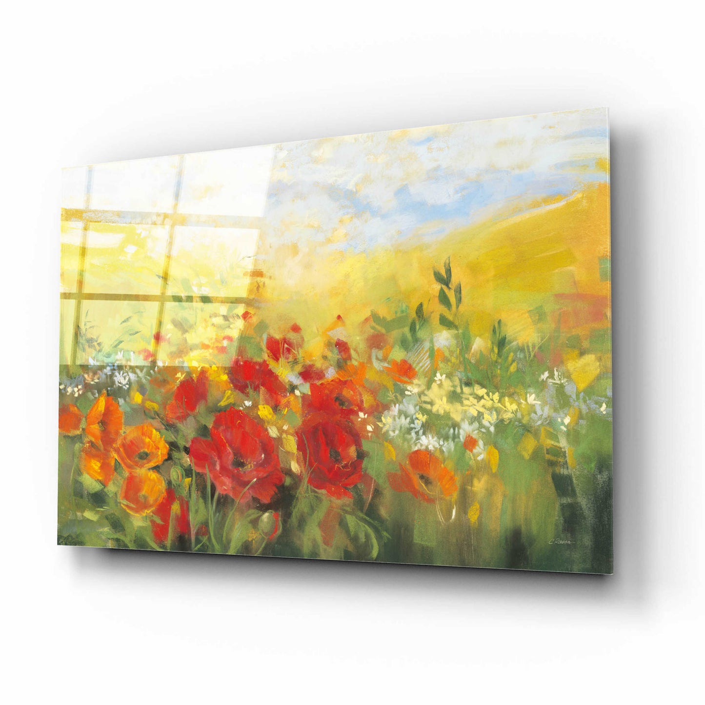 Epic Art 'Oriental Poppy Field Crop' by Carol Rowan, Acrylic Glass Wall Art,16x12