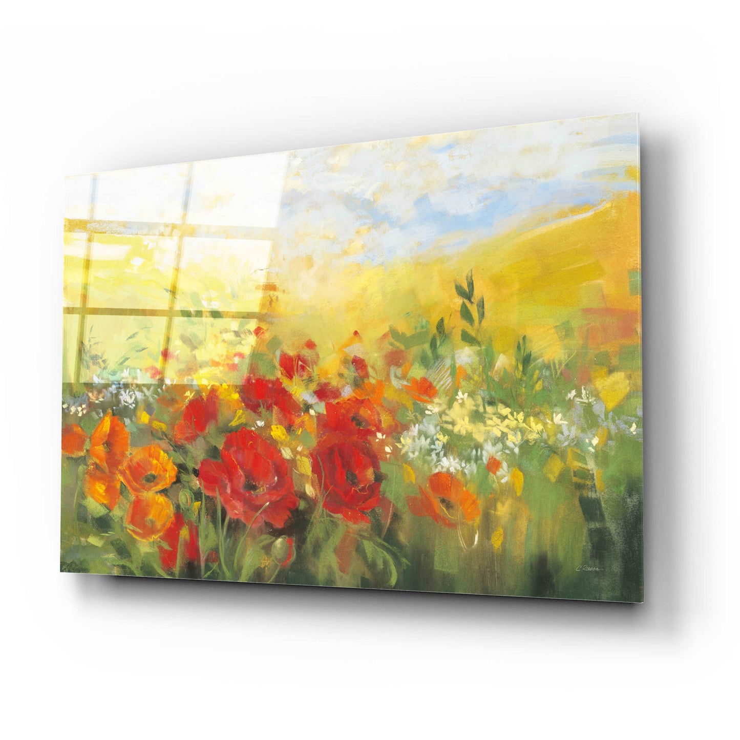 Epic Art 'Oriental Poppy Field Crop' by Carol Rowan, Acrylic Glass Wall Art,24x16