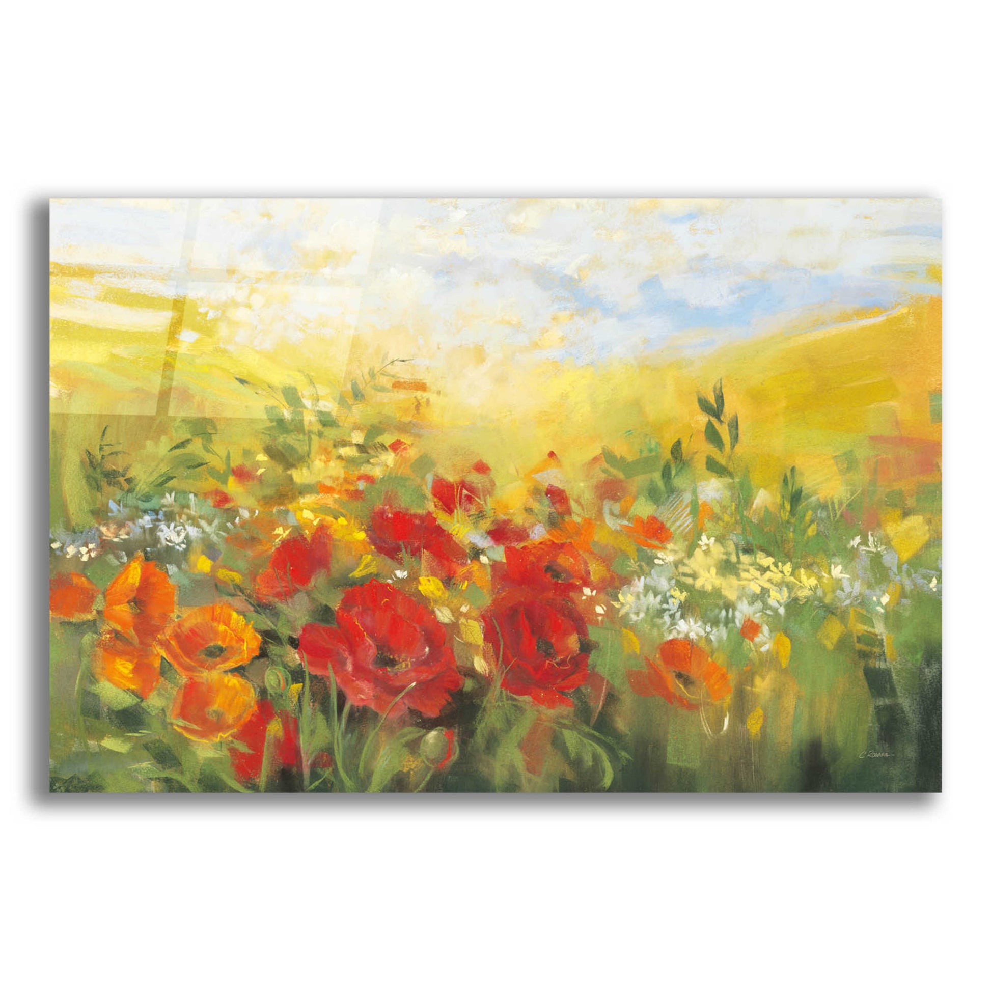 Epic Art 'Oriental Poppy Field Crop' by Carol Rowan, Acrylic Glass Wall Art,24x16