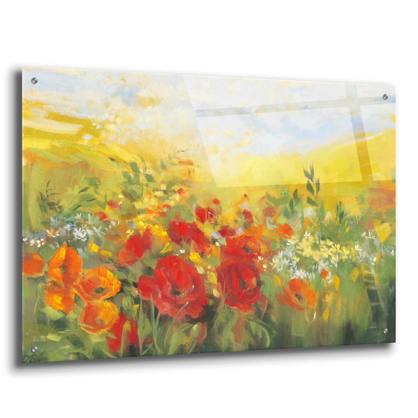 Epic Art 'Oriental Poppy Field Crop' by Carol Rowan, Acrylic Glass Wall Art,36x24