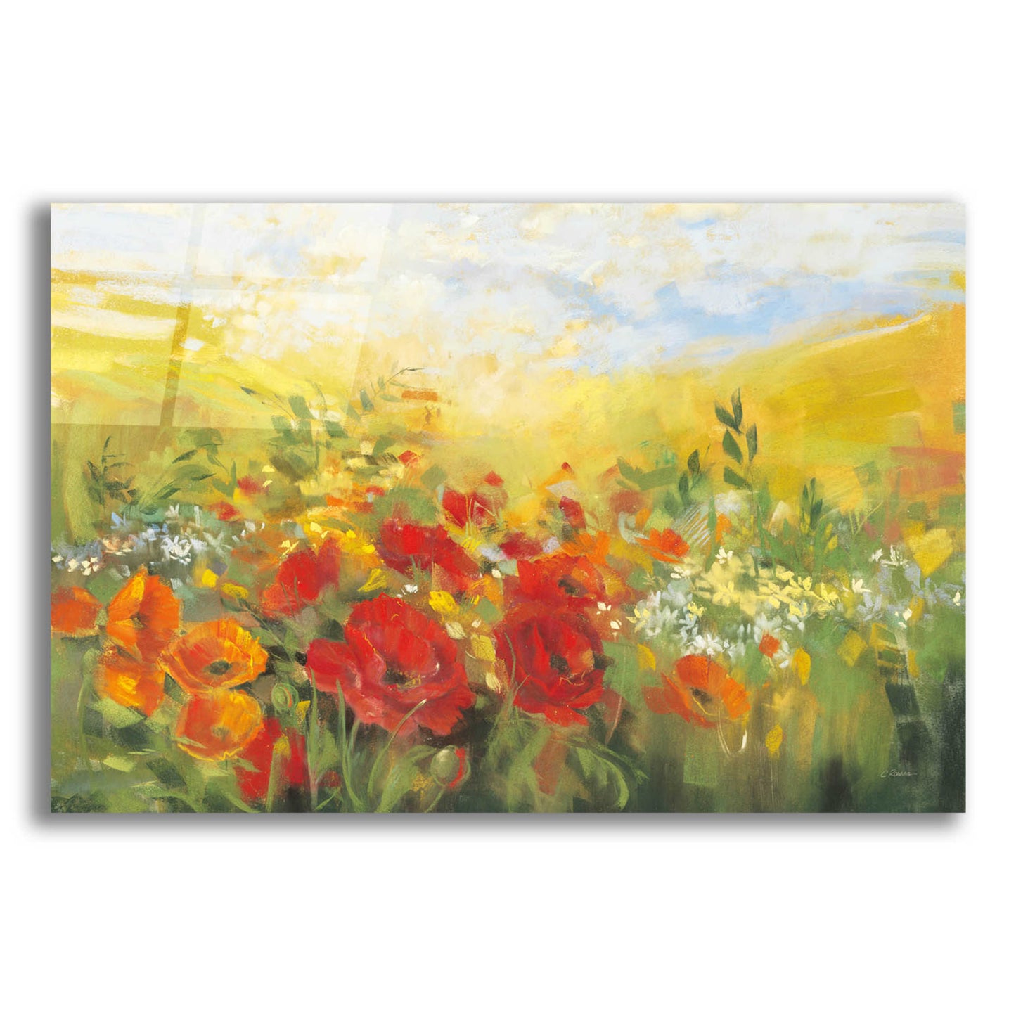 Epic Art 'Oriental Poppy Field Crop' by Carol Rowan, Acrylic Glass Wall Art