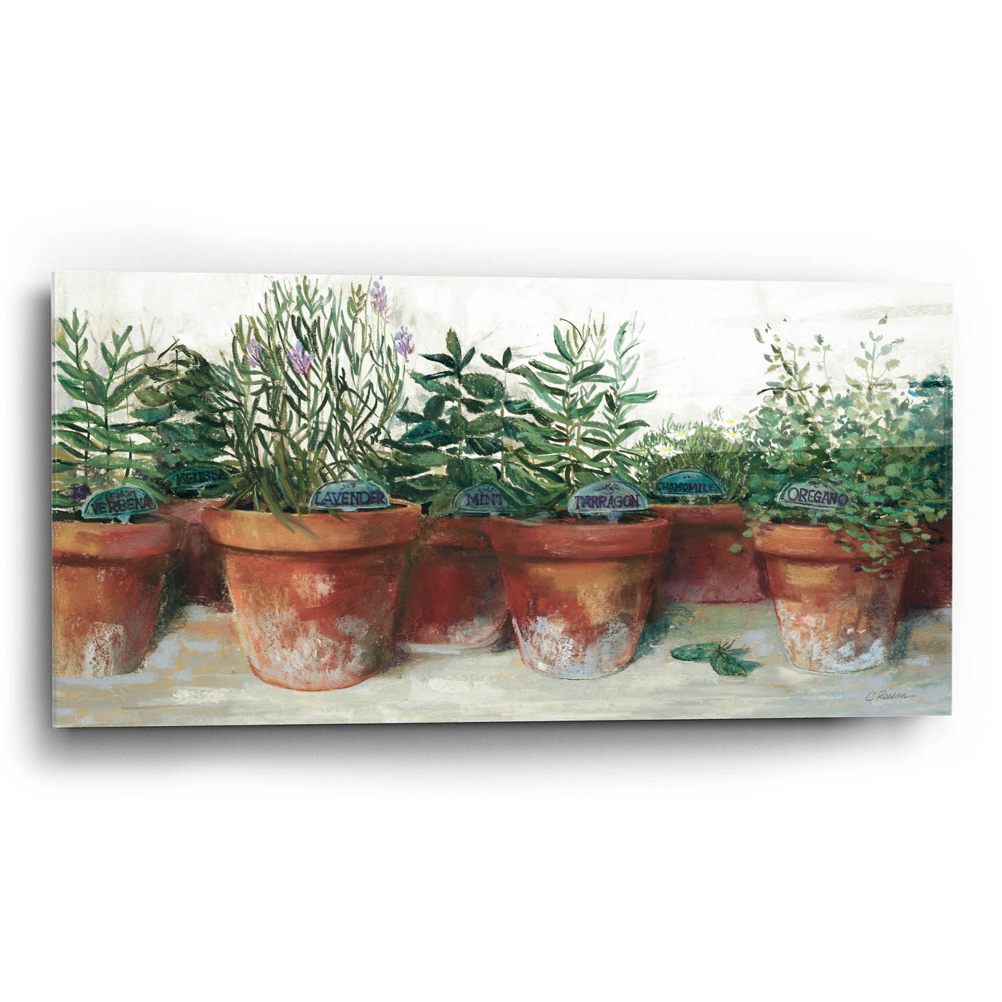 Epic Art 'Pots Of Herbs I White' by Carol Rowan, Acrylic Glass Wall Art,24x12