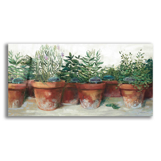 Epic Art 'Pots Of Herbs I White' by Carol Rowan, Acrylic Glass Wall Art