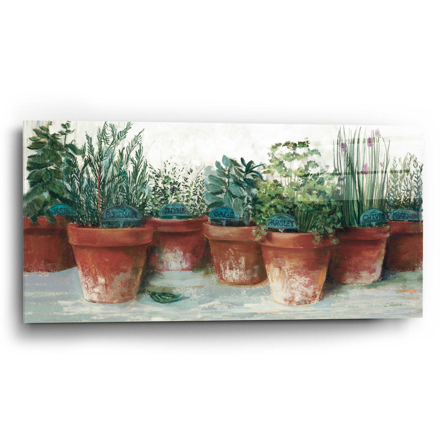 Epic Art 'Pots Of Herbs II White' by Carol Rowan, Acrylic Glass Wall Art,24x12