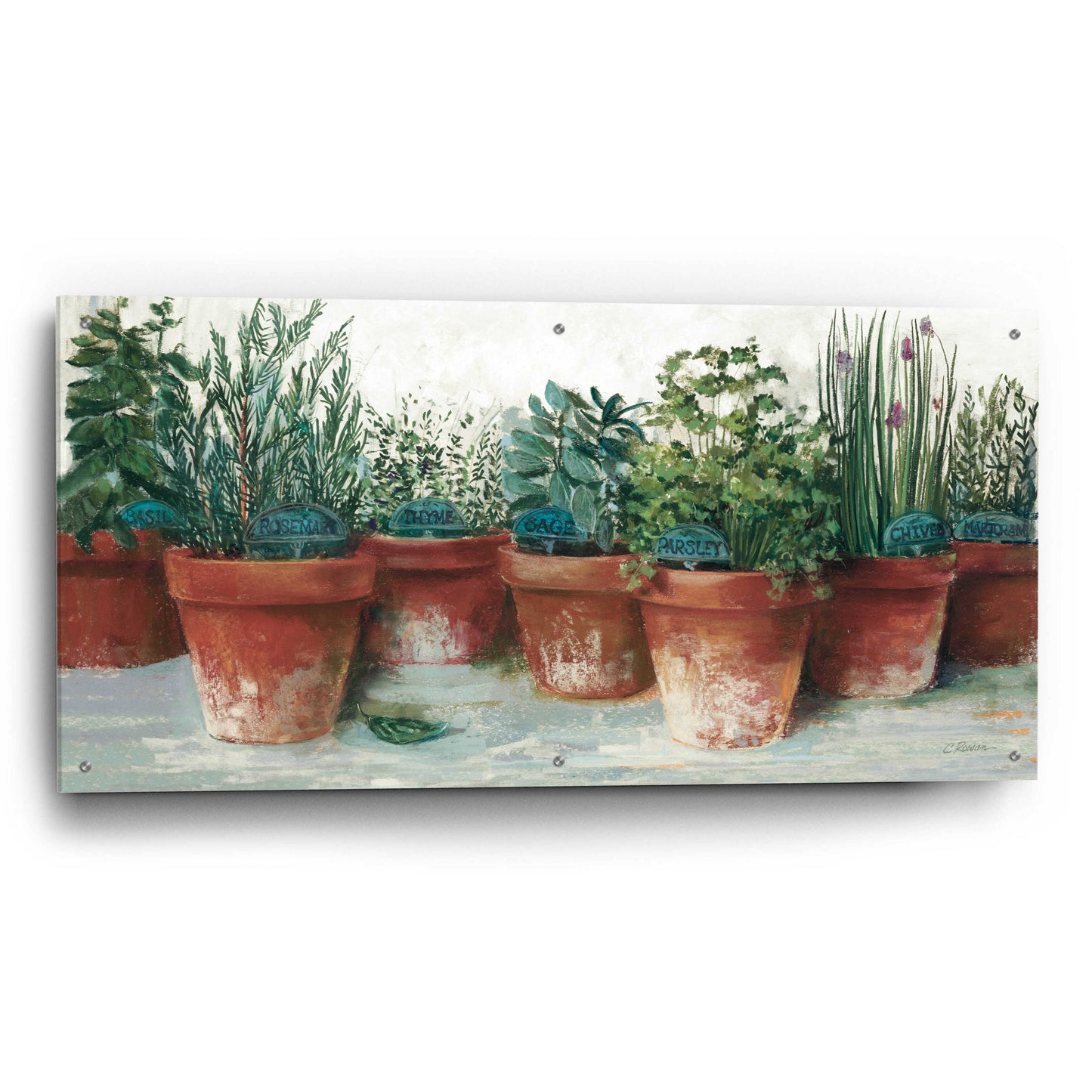 Epic Art 'Pots Of Herbs II White' by Carol Rowan, Acrylic Glass Wall Art,48x24