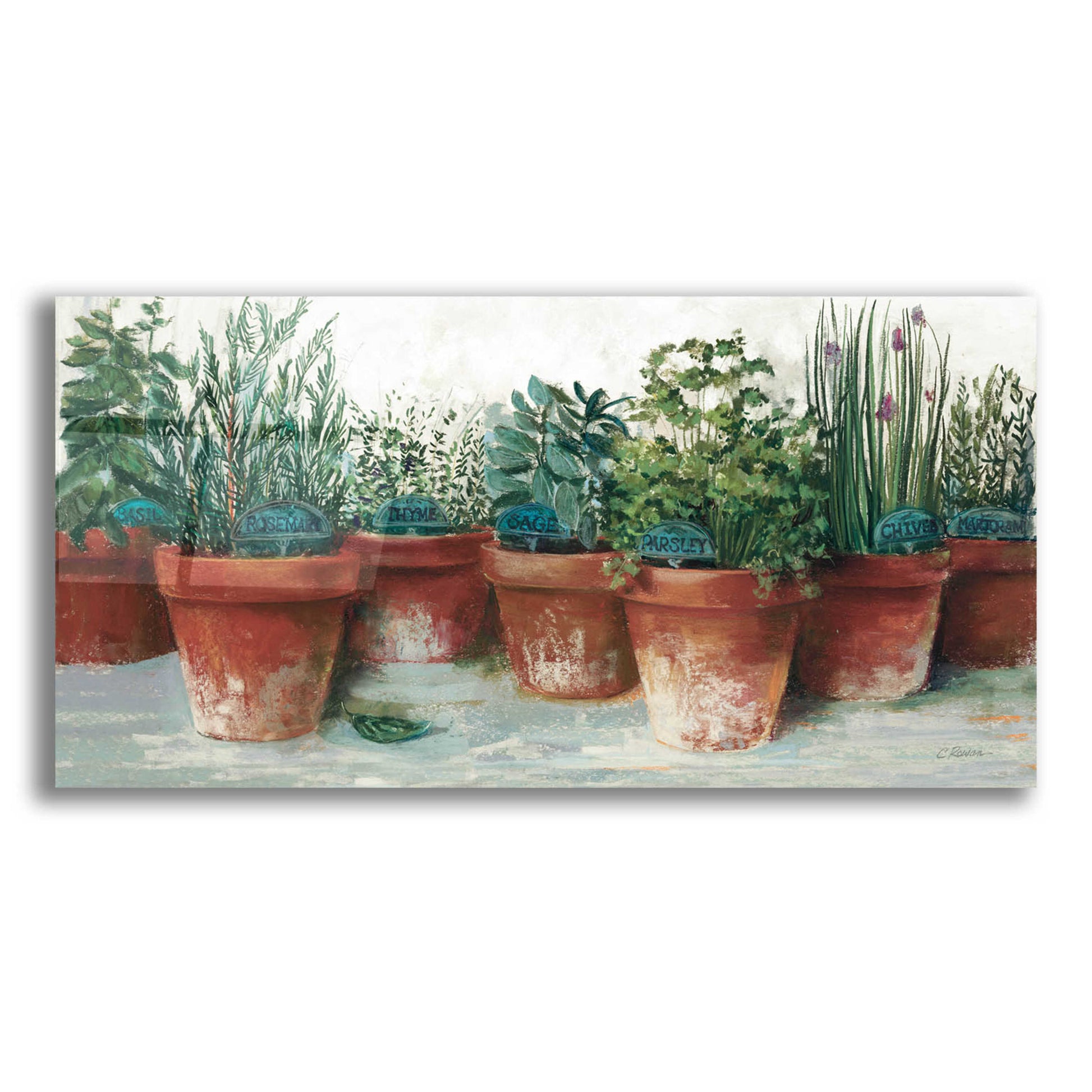 Epic Art 'Pots Of Herbs II White' by Carol Rowan, Acrylic Glass Wall Art