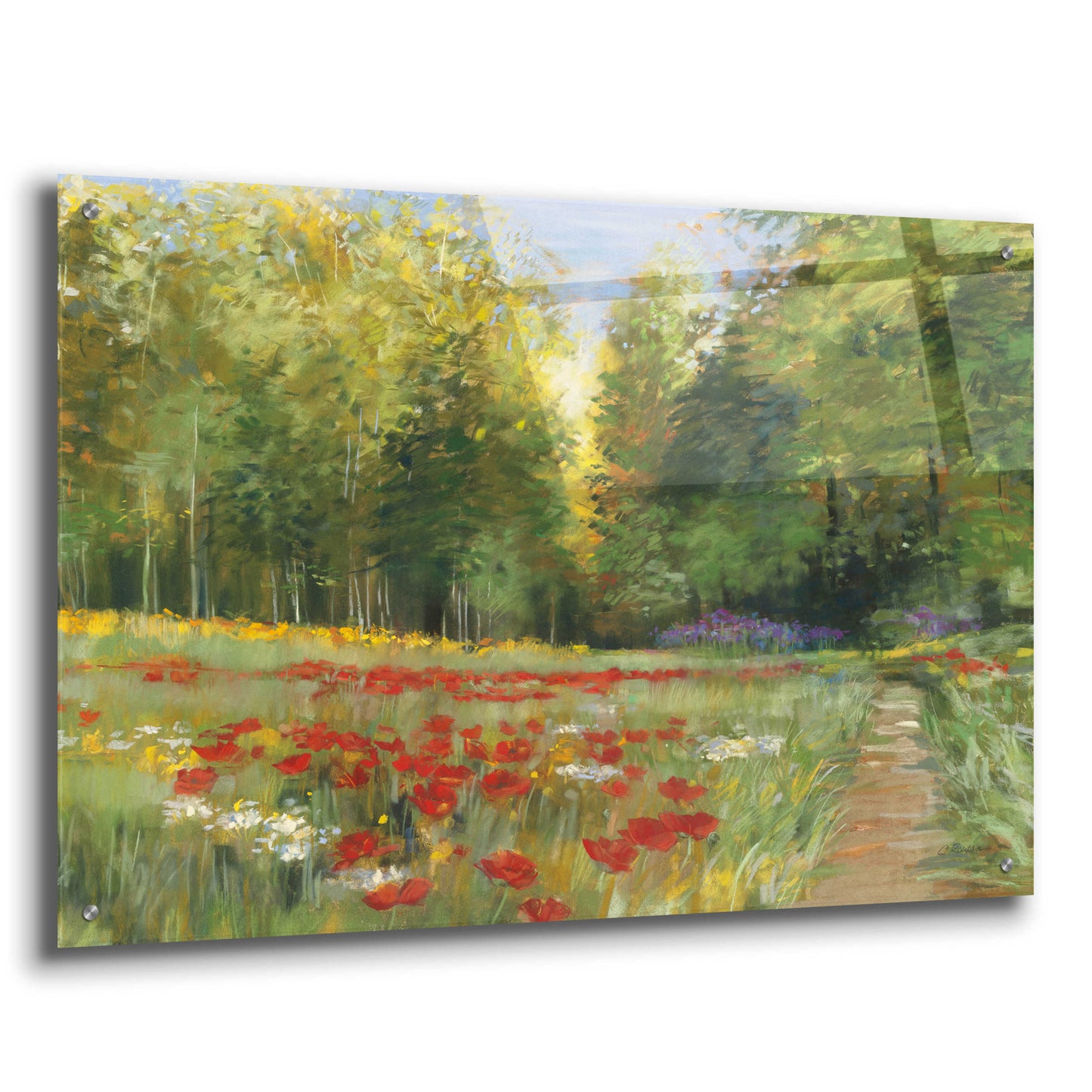 Epic Art 'Field Of Flowers Crop' by Carol Rowan, Acrylic Glass Wall Art,36x24