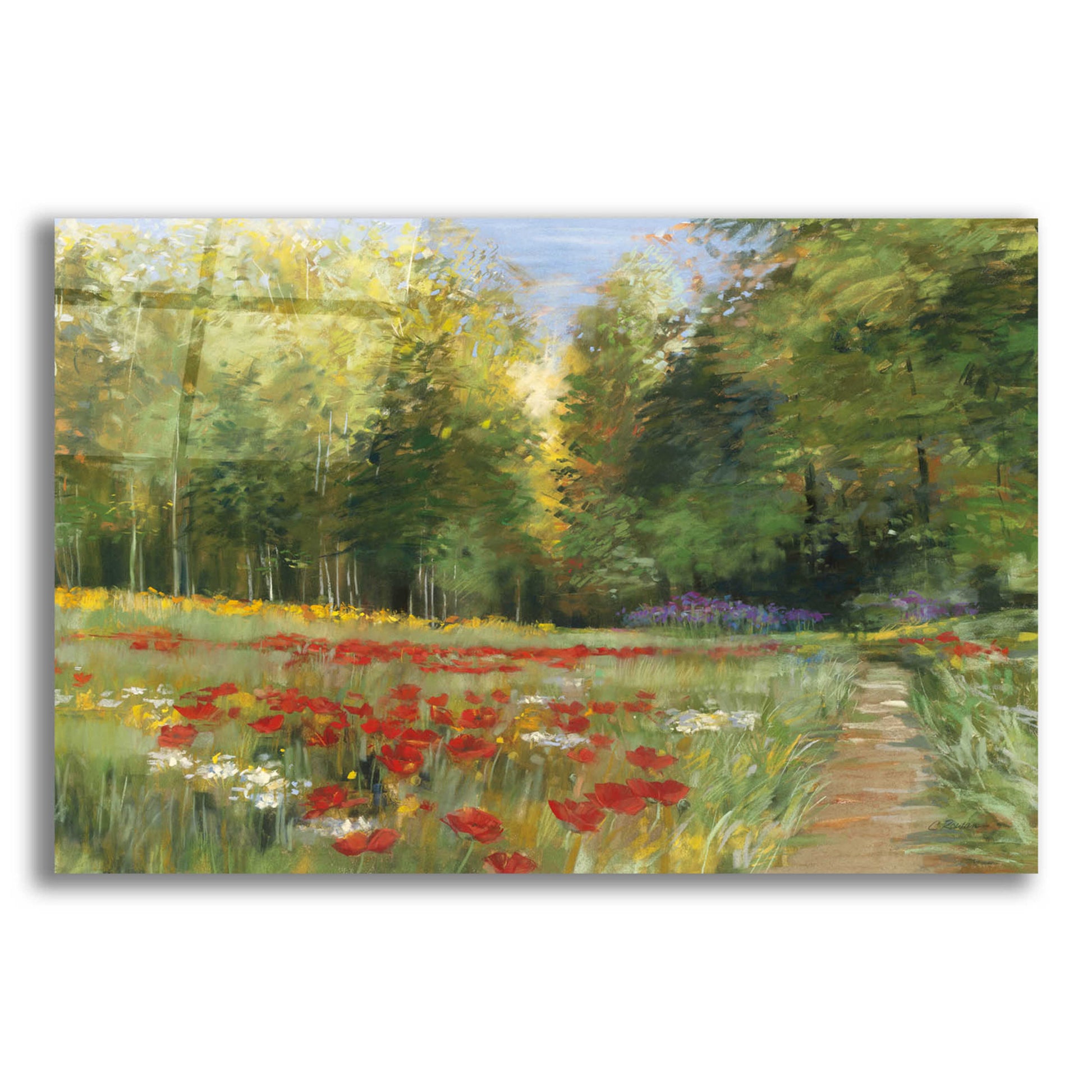 Epic Art 'Field Of Flowers Crop' by Carol Rowan, Acrylic Glass Wall Art