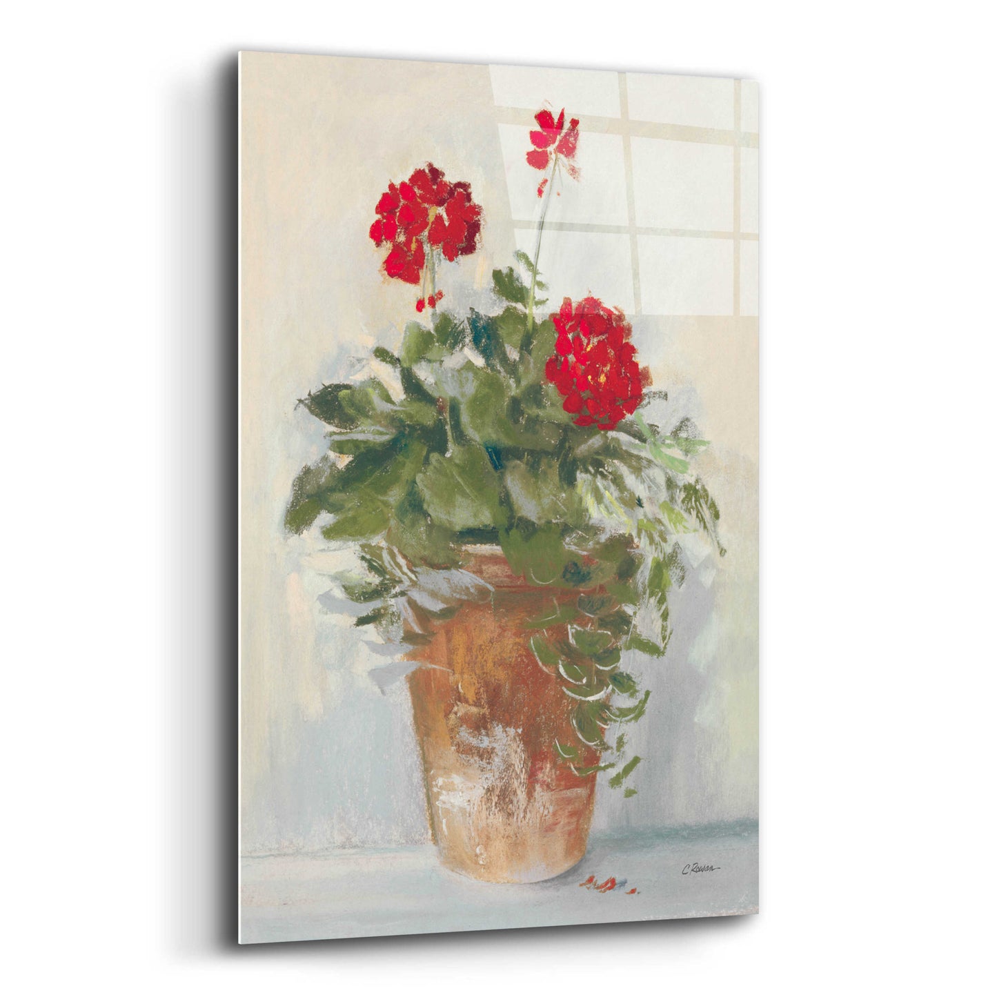 Epic Art 'Potted Geraniums II Light' by Carol Rowan, Acrylic Glass Wall Art,12x16