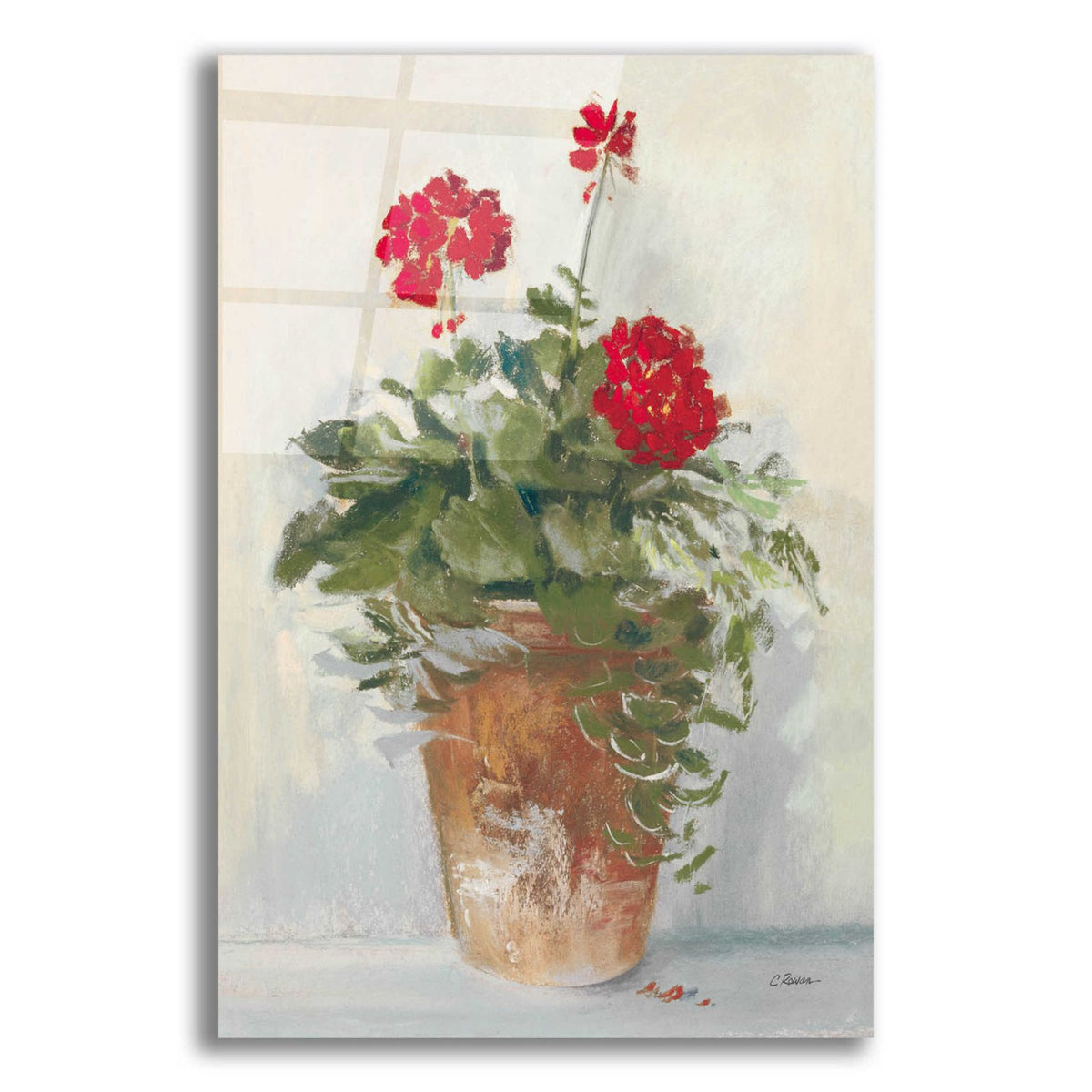 Potted Geraniums II Light by Carol Rowan acrylic glass wall art