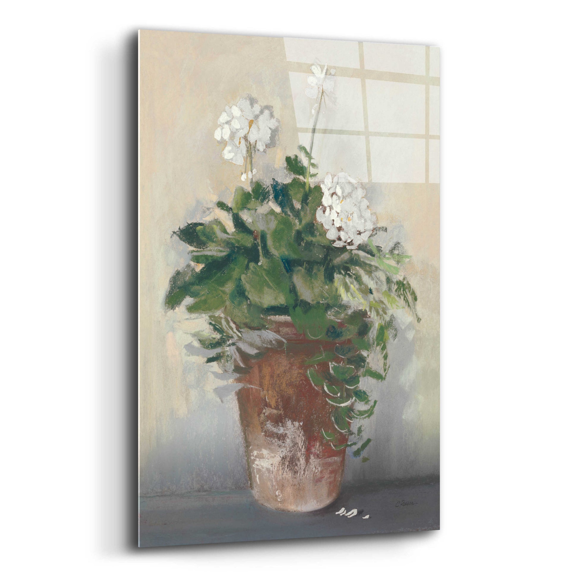 Epic Art 'Pot Of White Geraniums' by Carol Rowan, Acrylic Glass Wall Art,12x16