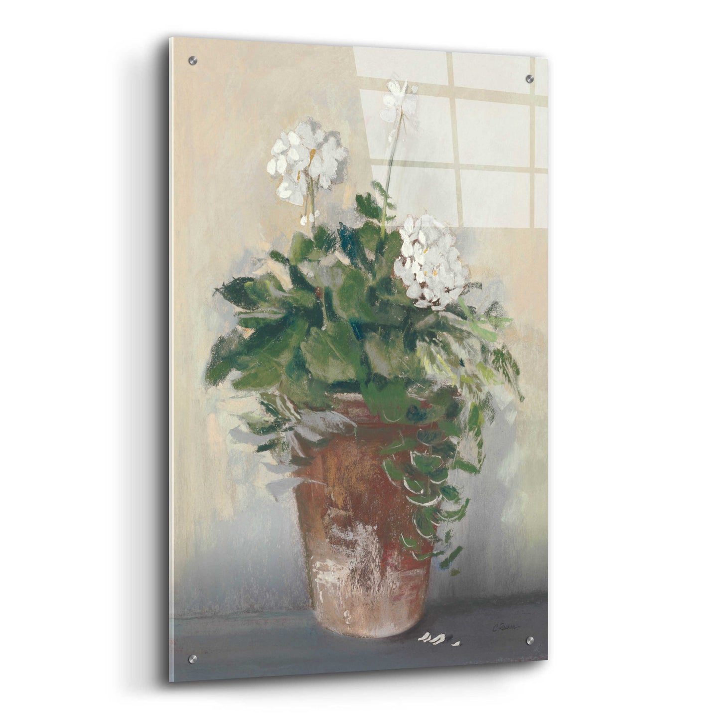 Epic Art 'Pot Of White Geraniums' by Carol Rowan, Acrylic Glass Wall Art,24x36