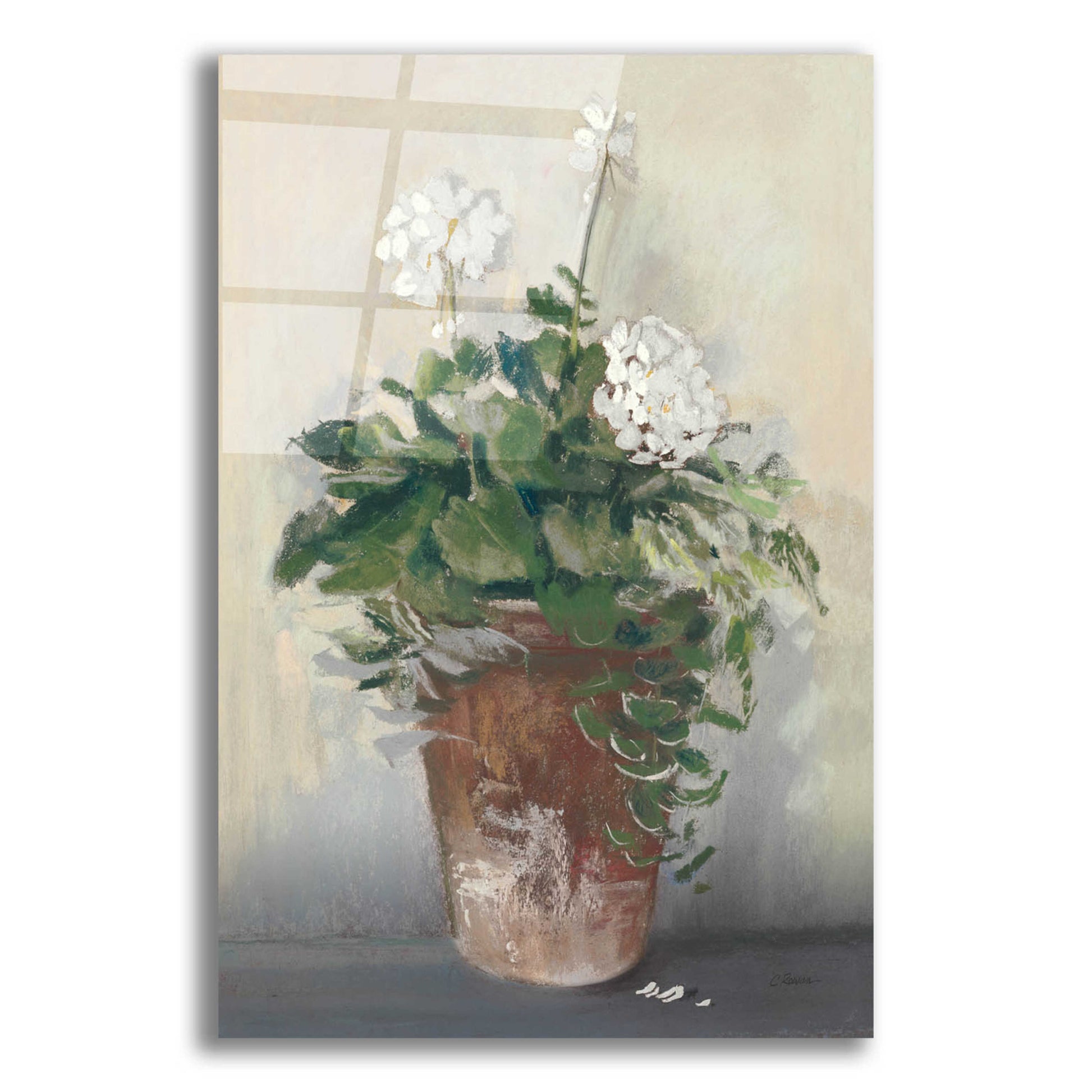 Epic Art 'Pot Of White Geraniums' by Carol Rowan, Acrylic Glass Wall Art