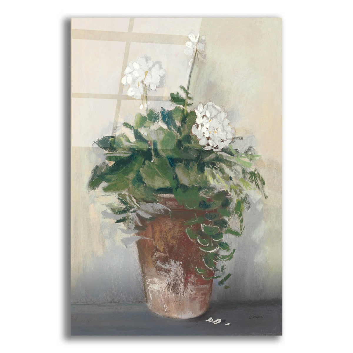 Pot Of White Geraniums by Carol Rowan acrylic glass wall art