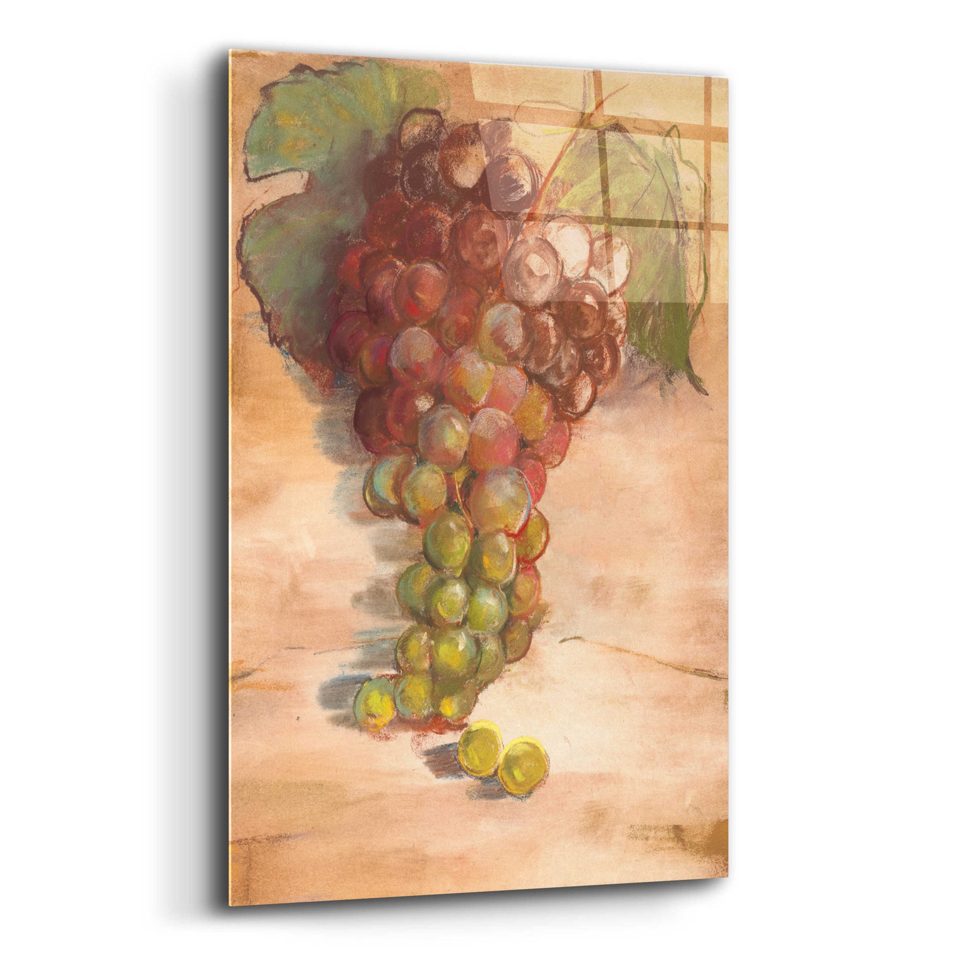 Epic Art 'Grape Harvest II No Label' by Carol Rowan, Acrylic Glass Wall Art,16x24