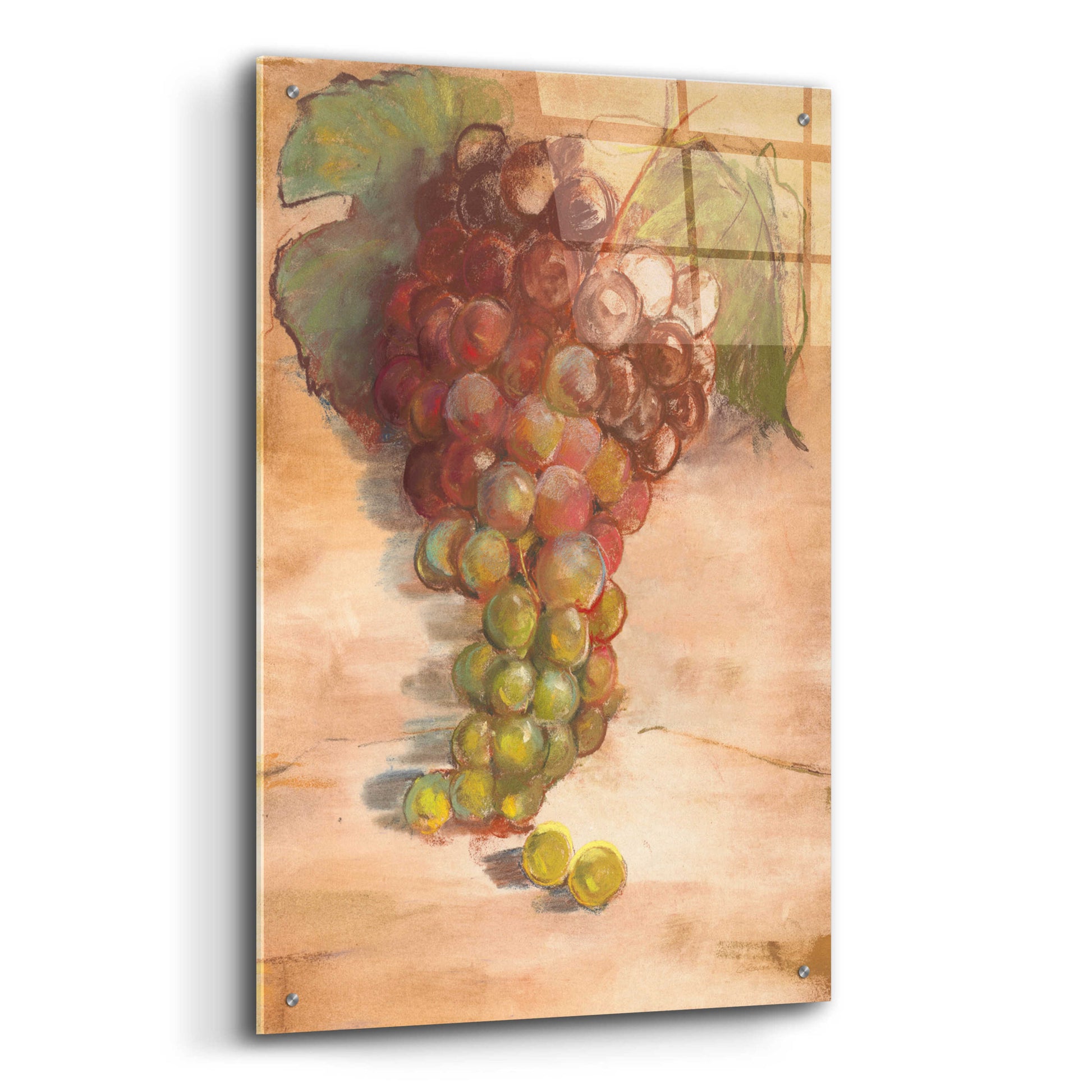 Epic Art 'Grape Harvest II No Label' by Carol Rowan, Acrylic Glass Wall Art,24x36