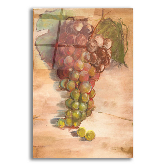 Epic Art 'Grape Harvest II No Label' by Carol Rowan, Acrylic Glass Wall Art