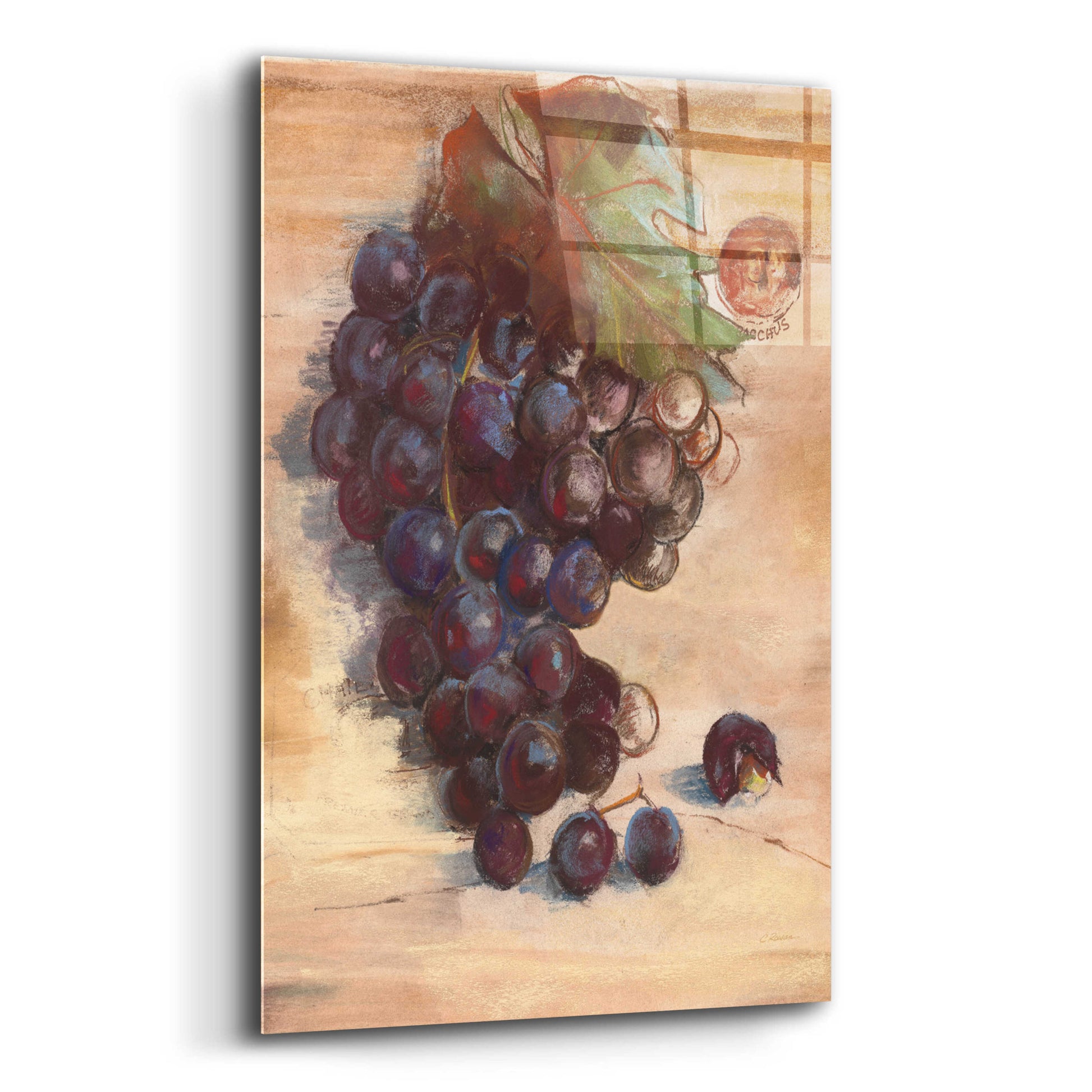 Epic Art 'Grape Harvest III No Label' by Carol Rowan, Acrylic Glass Wall Art,16x24