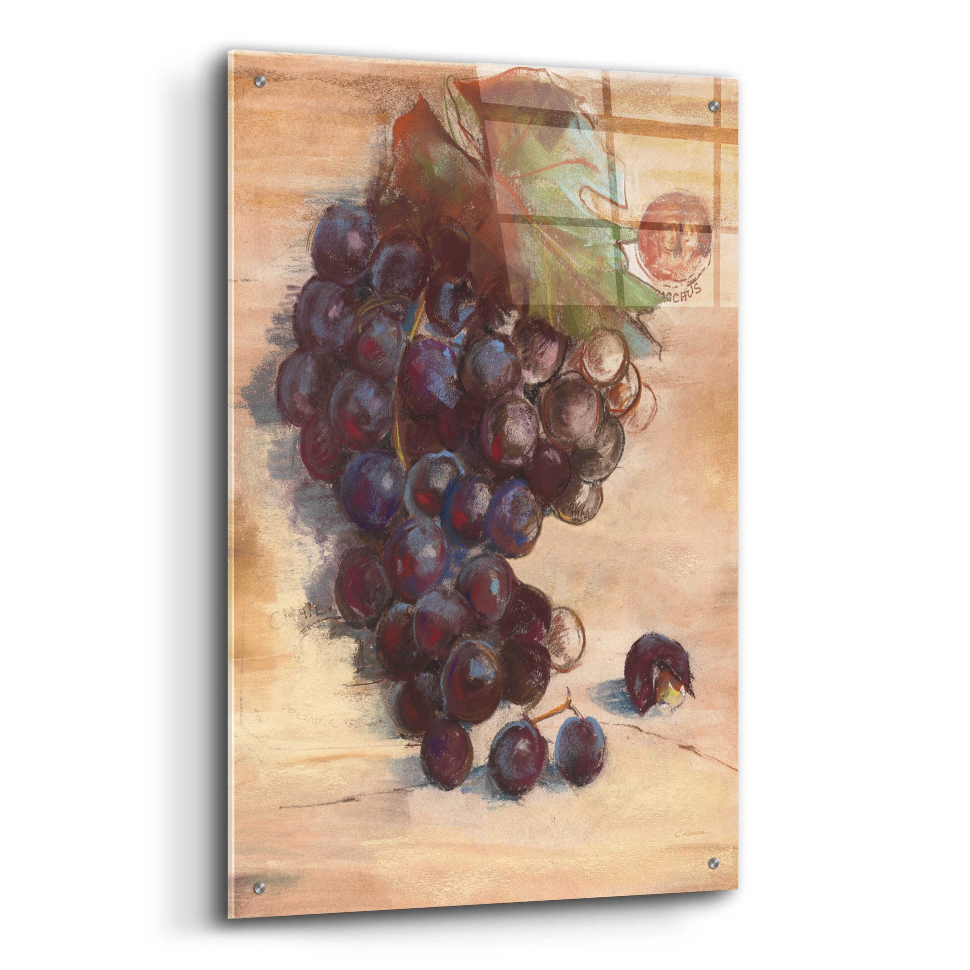 Epic Art 'Grape Harvest III No Label' by Carol Rowan, Acrylic Glass Wall Art,24x36