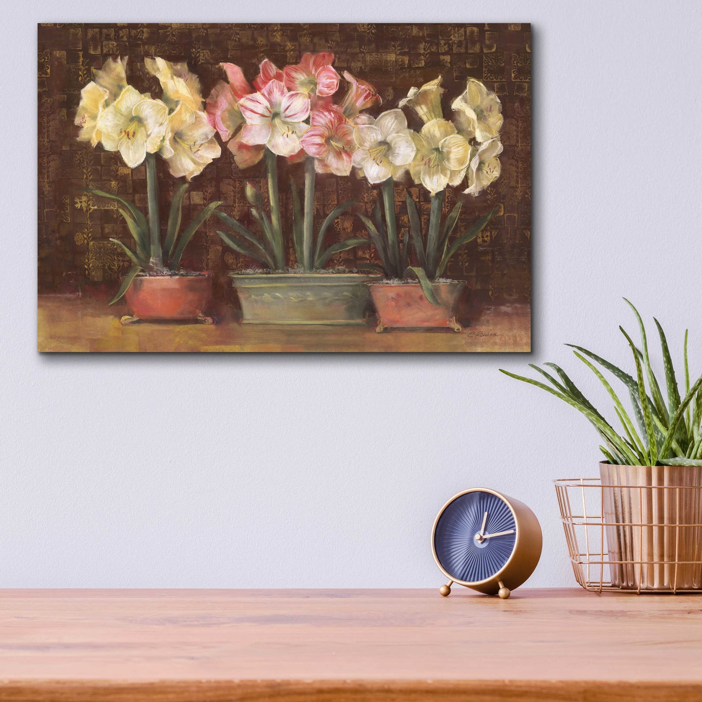 Epic Art 'Amaryllis On Brown' by Carol Rowan, Acrylic Glass Wall Art,16x12