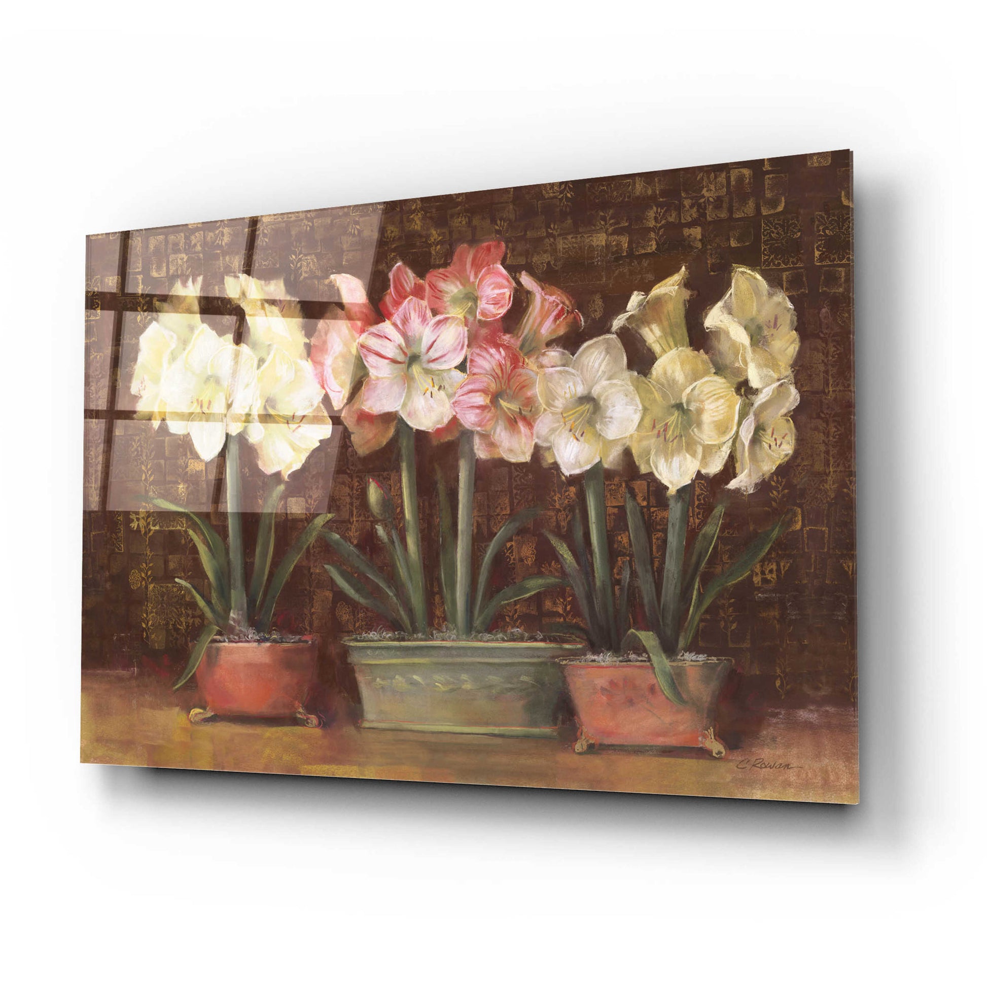 Epic Art 'Amaryllis On Brown' by Carol Rowan, Acrylic Glass Wall Art,24x16