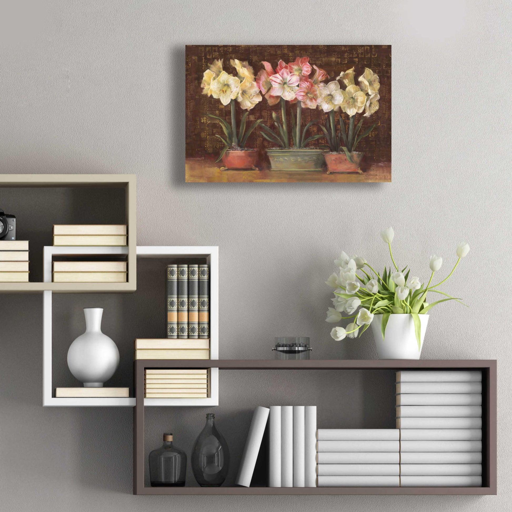 Epic Art 'Amaryllis On Brown' by Carol Rowan, Acrylic Glass Wall Art,24x16