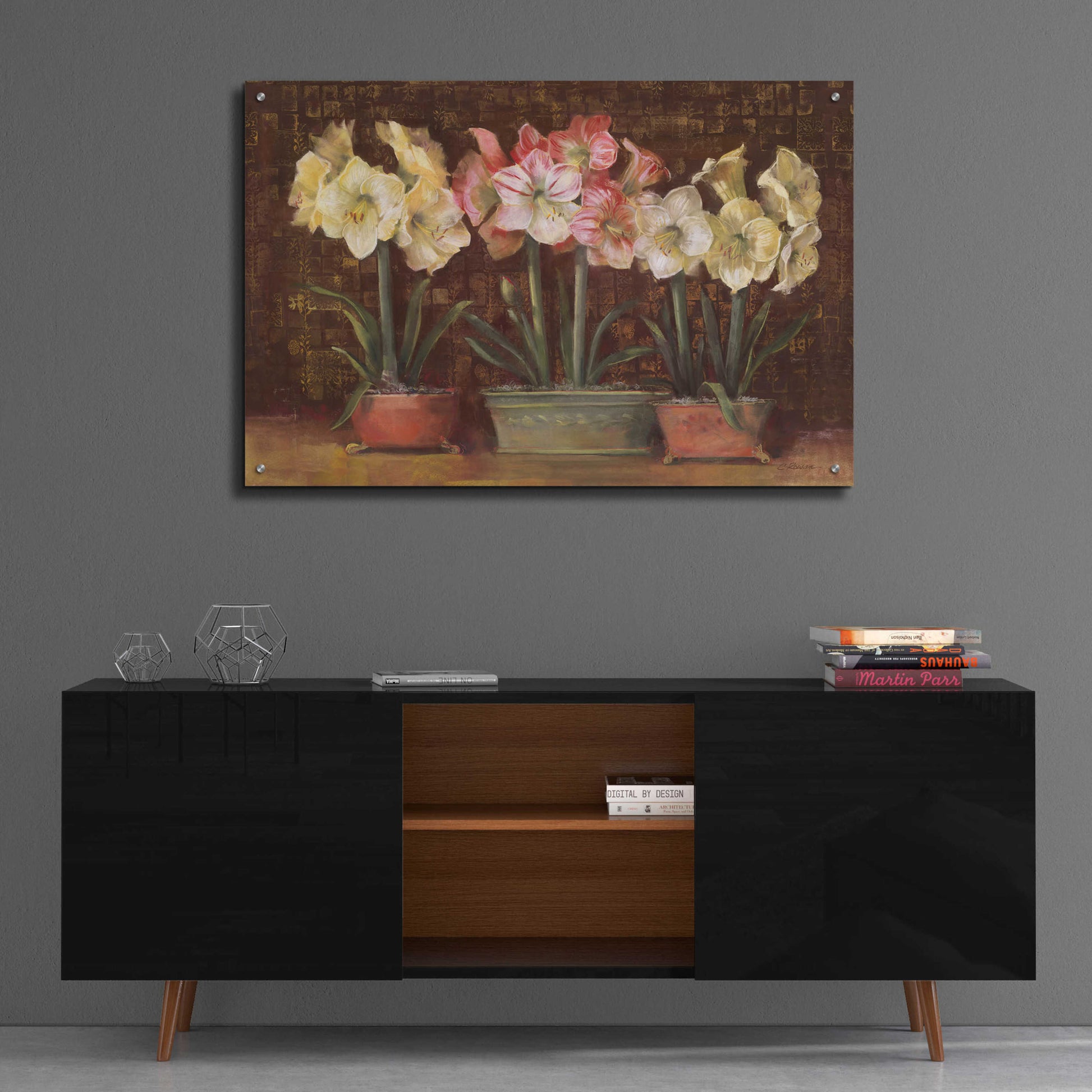 Epic Art 'Amaryllis On Brown' by Carol Rowan, Acrylic Glass Wall Art,36x24