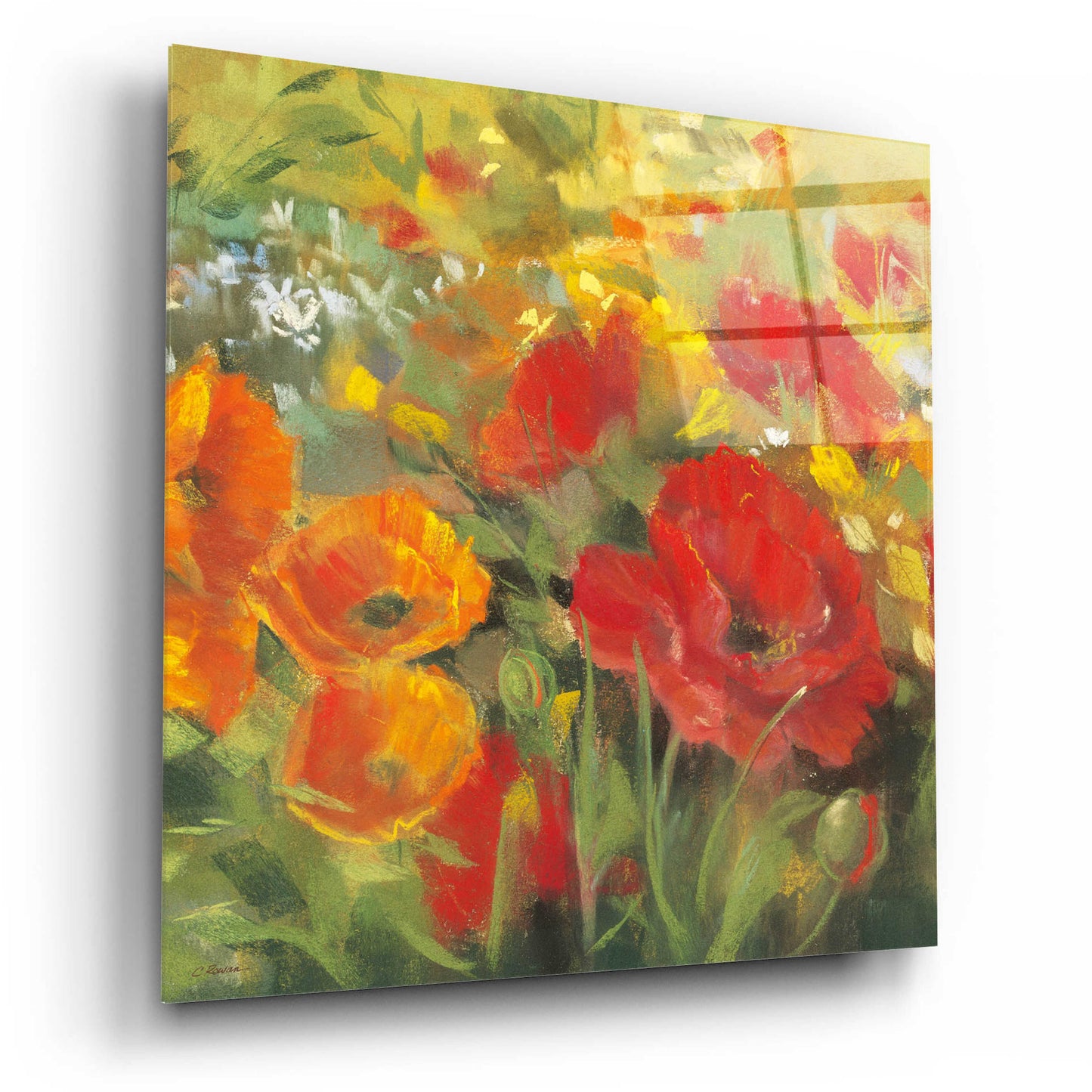 Epic Art 'Oriental Poppy Field I' by Carol Rowan, Acrylic Glass Wall Art,12x12