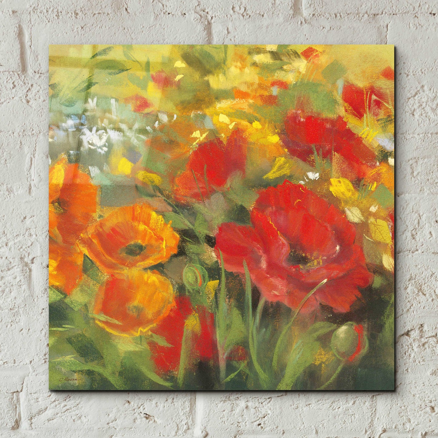 Epic Art 'Oriental Poppy Field I' by Carol Rowan, Acrylic Glass Wall Art,12x12