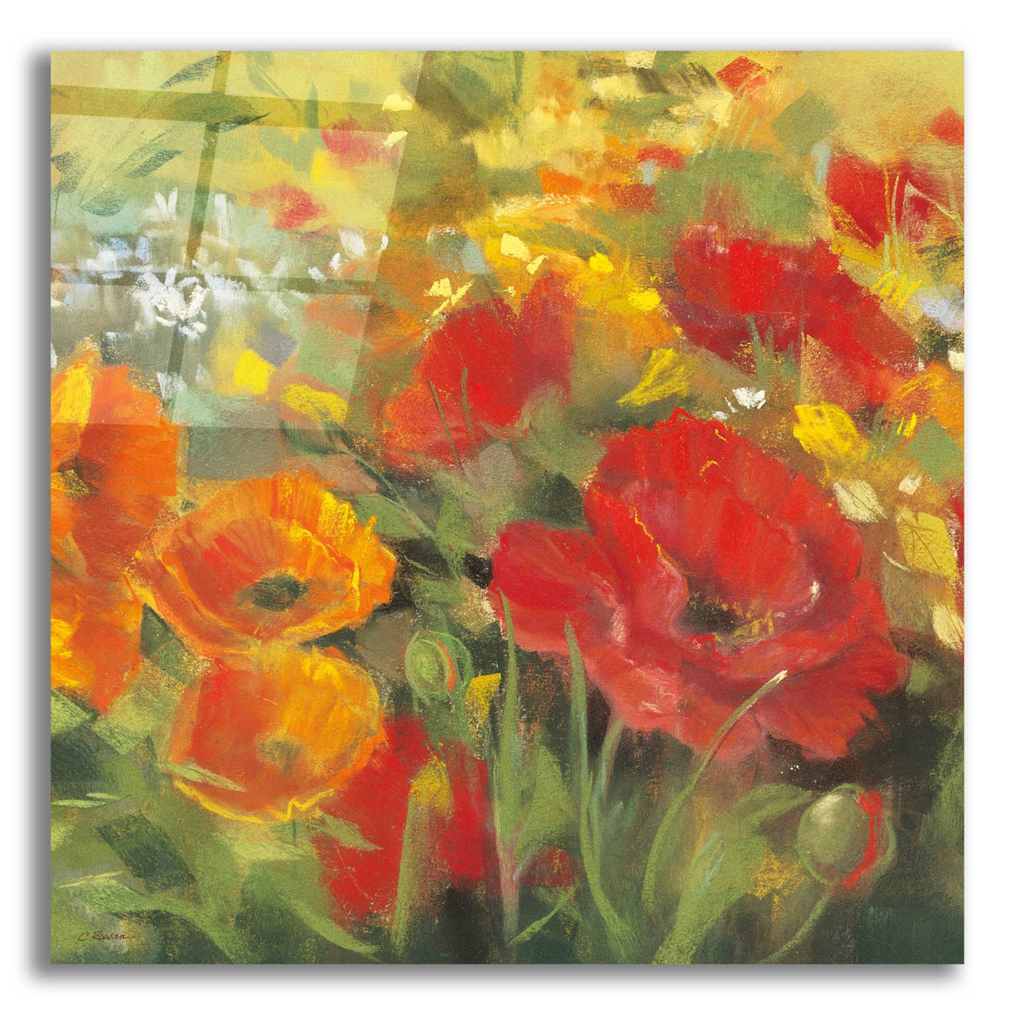 Epic Art 'Oriental Poppy Field I' by Carol Rowan, Acrylic Glass Wall Art