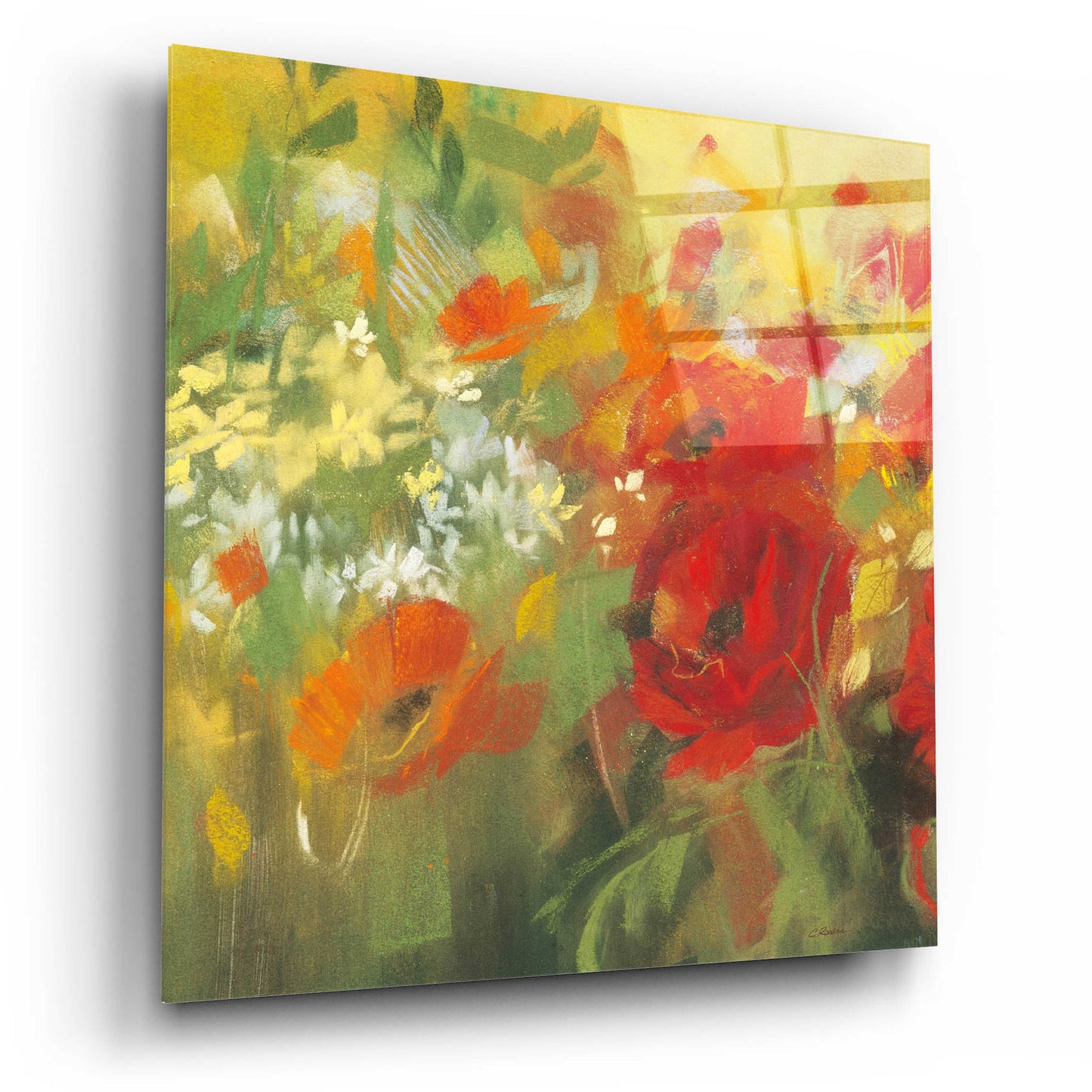 Epic Art 'Oriental Poppy Field II' by Carol Rowan, Acrylic Glass Wall Art,12x12