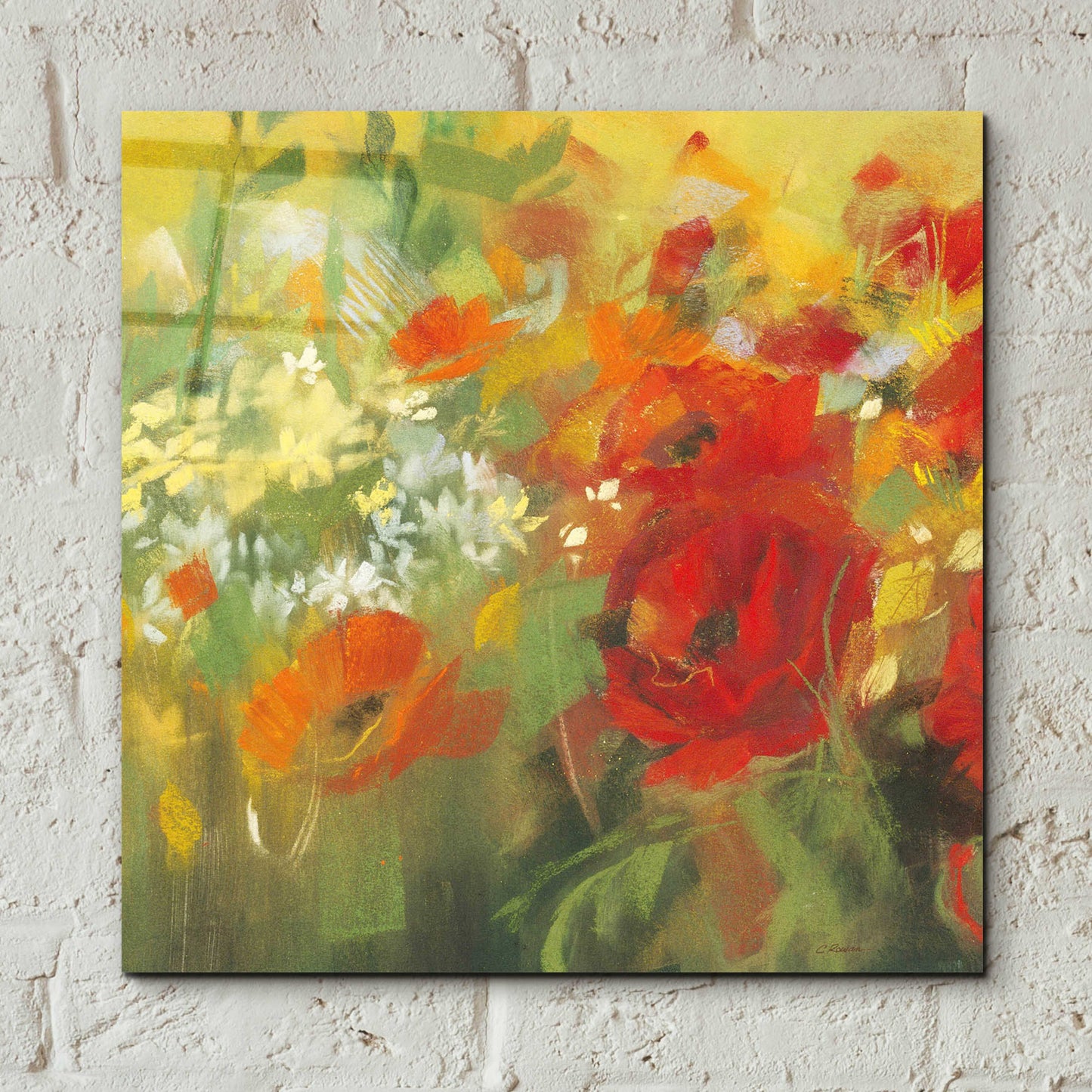 Epic Art 'Oriental Poppy Field II' by Carol Rowan, Acrylic Glass Wall Art,12x12