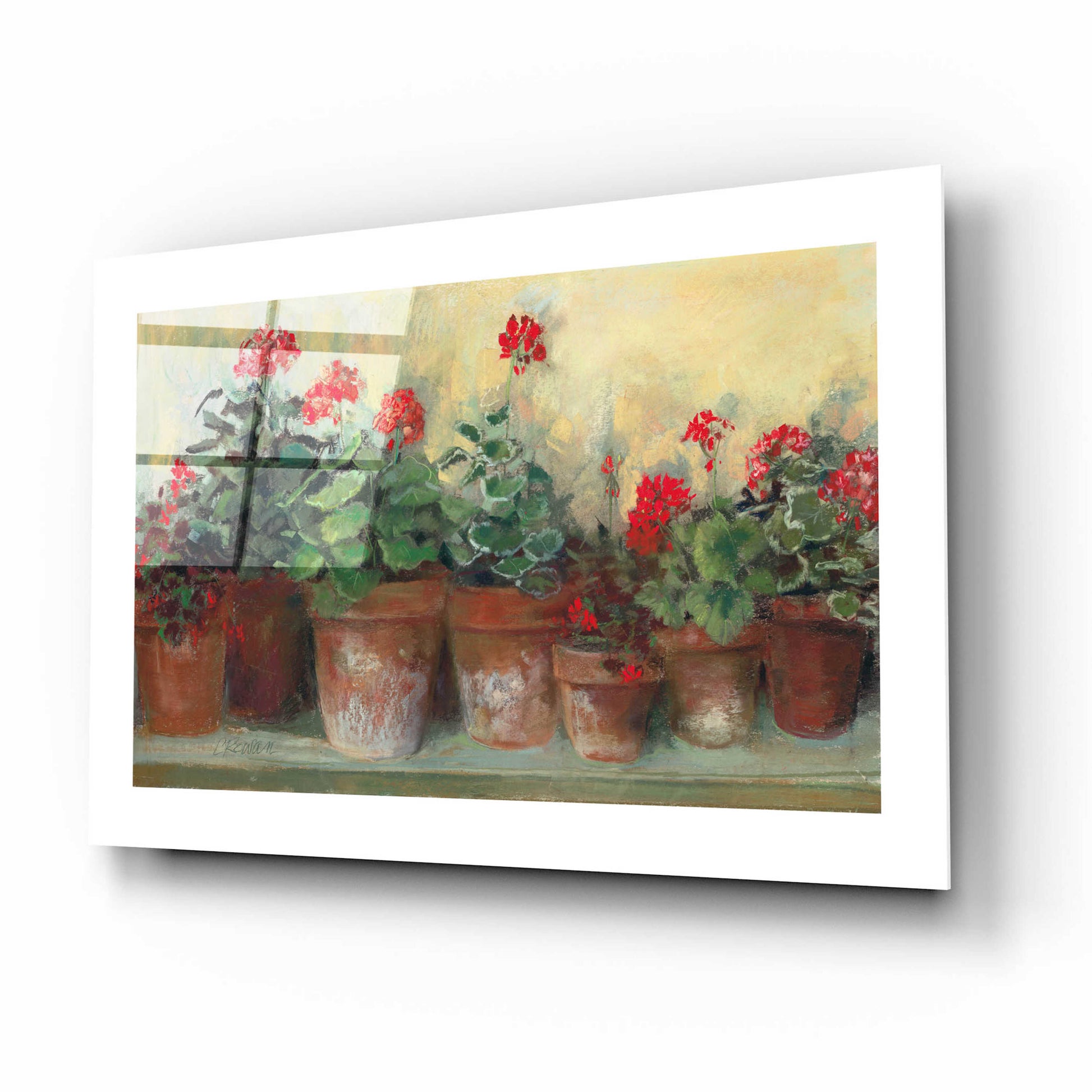 Epic Art 'Kathleens Geraniums' by Carol Rowan, Acrylic Glass Wall Art,16x12