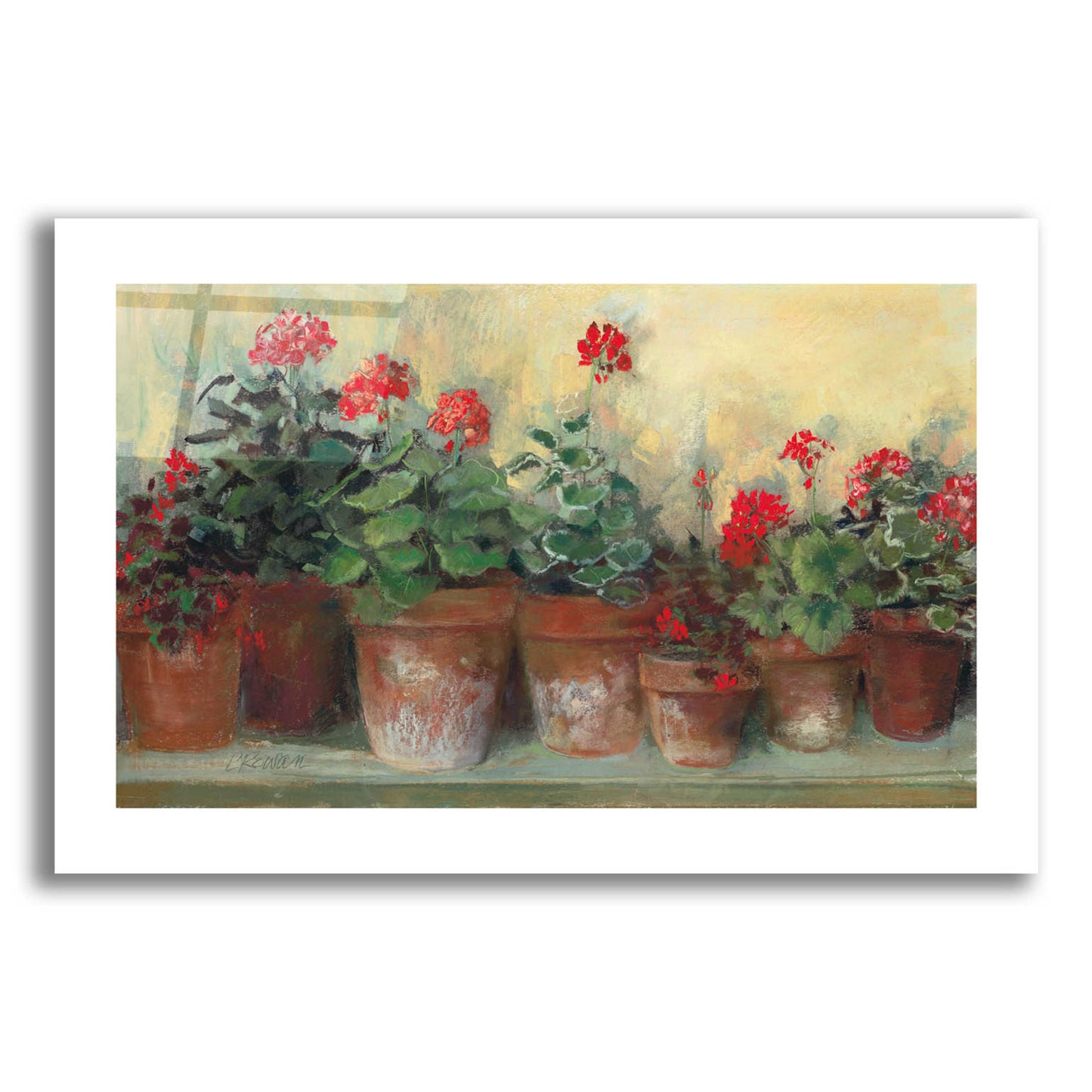 Epic Art 'Kathleens Geraniums' by Carol Rowan, Acrylic Glass Wall Art,24x16