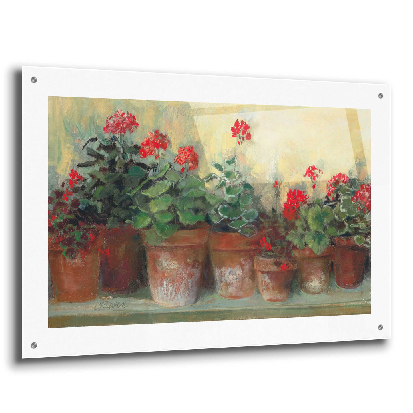 Epic Art 'Kathleens Geraniums' by Carol Rowan, Acrylic Glass Wall Art,36x24