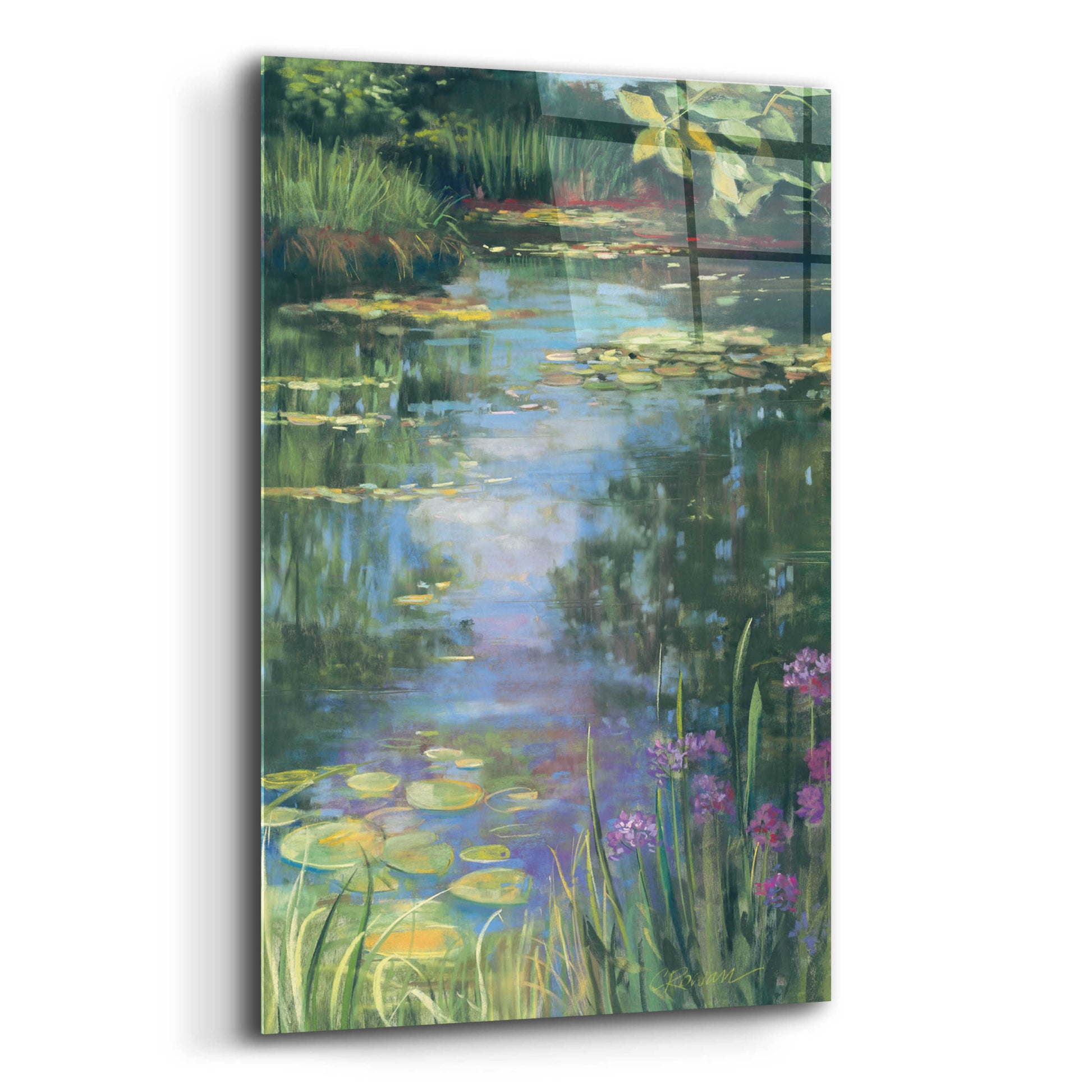 Epic Art 'Garden Pond I' by Carol Rowan, Acrylic Glass Wall Art,12x16