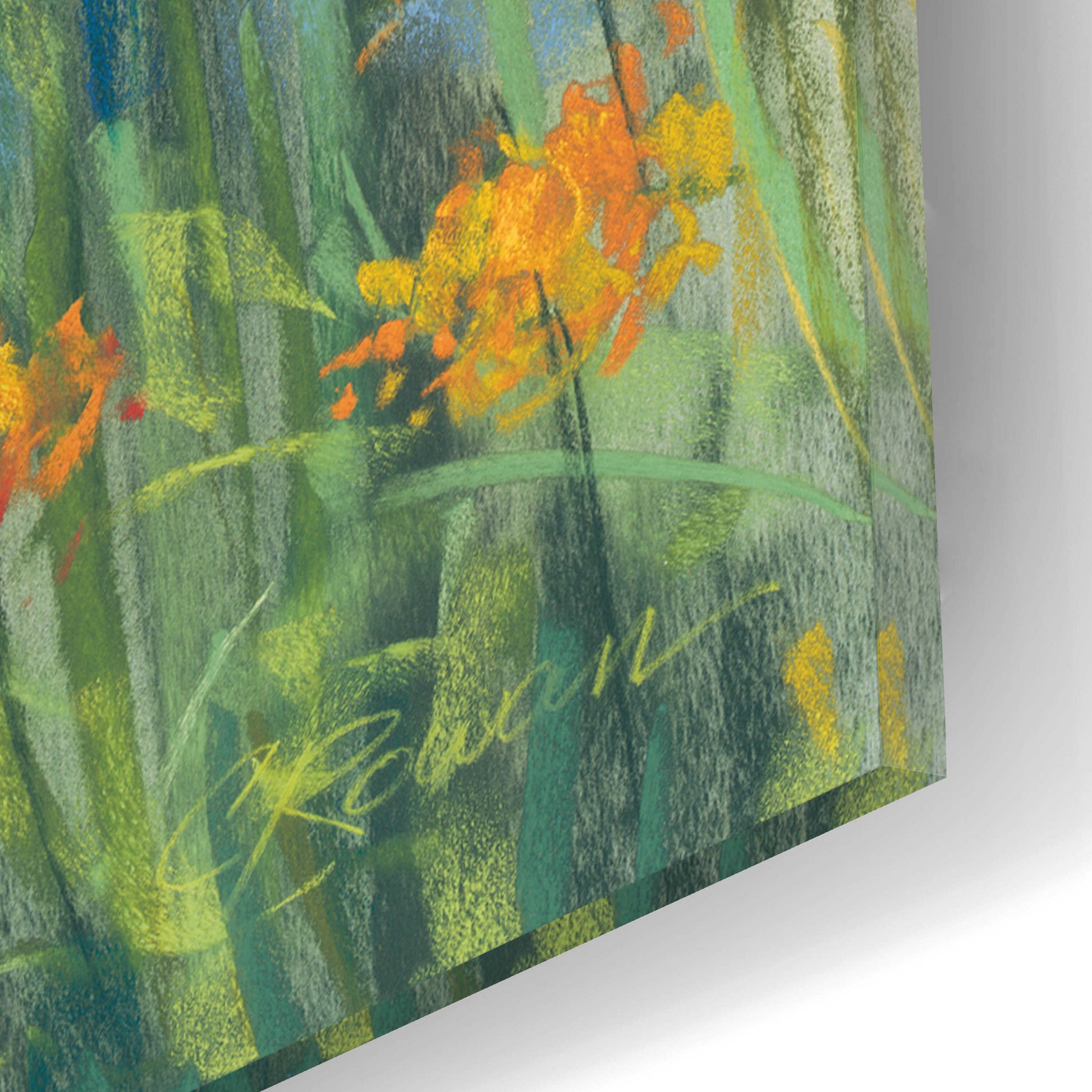 Epic Art 'Garden Pond III' by Carol Rowan, Acrylic Glass Wall Art,12x16