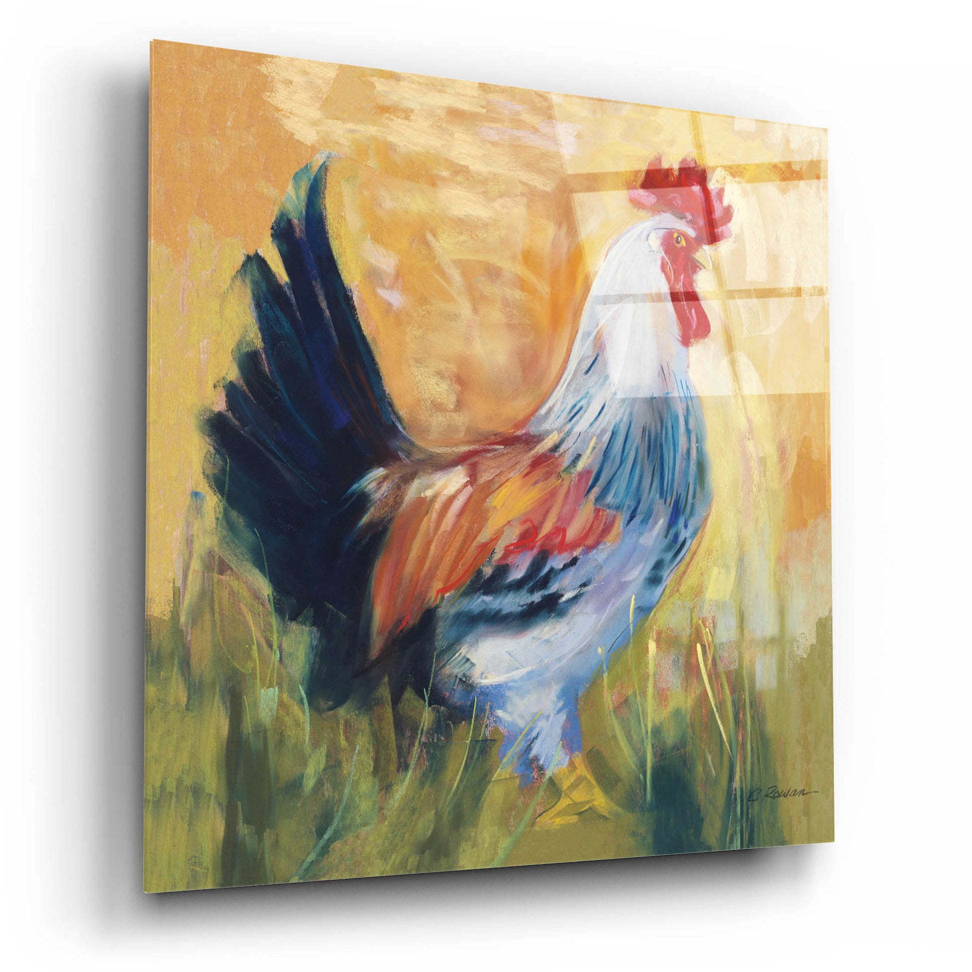 Epic Art 'Horace' by Carol Rowan, Acrylic Glass Wall Art,12x12