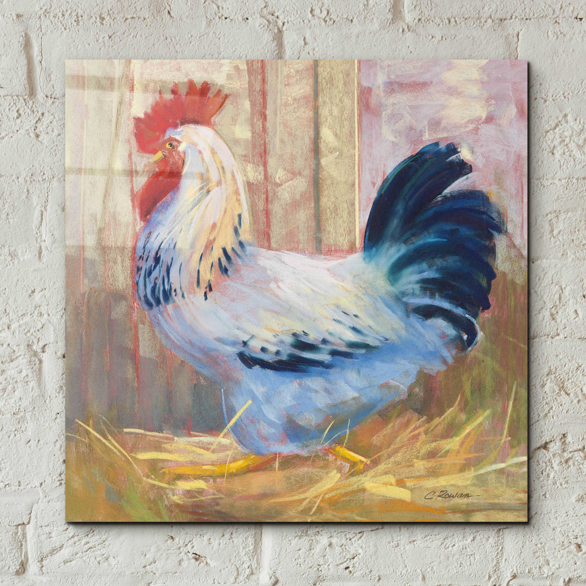 Hercule by Carol Rowan - 12x12 acrylic wall art in a room