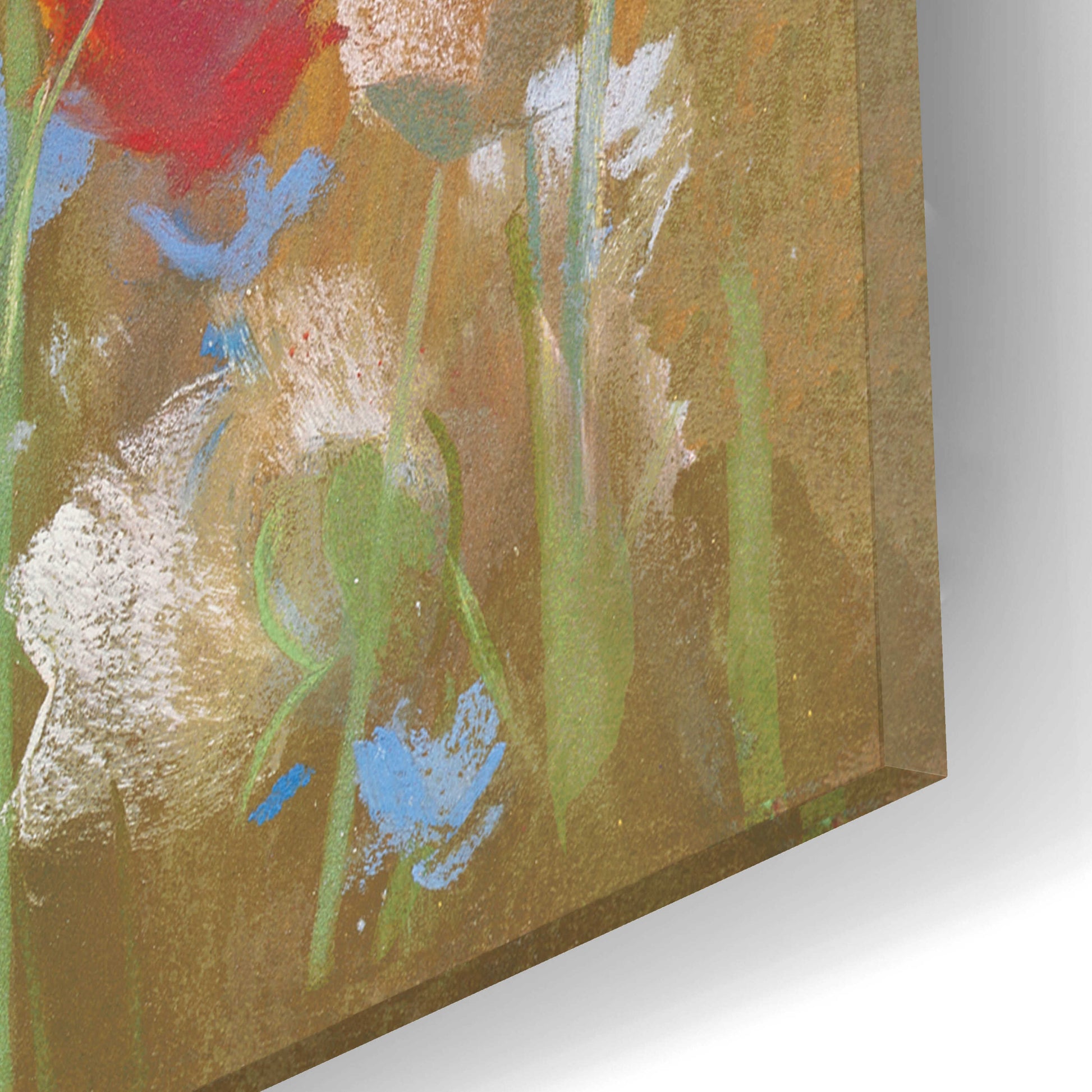 Epic Art 'Poppies And Larkspur I' by Carol Rowan, Acrylic Glass Wall Art,12x12