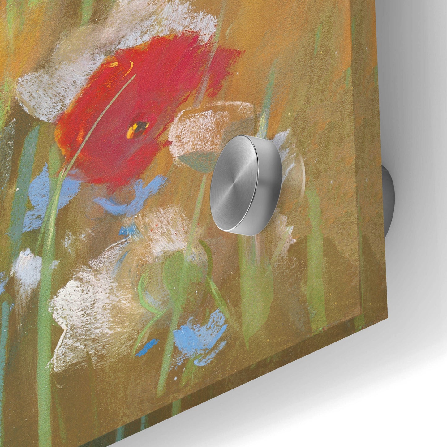 Epic Art 'Poppies And Larkspur I' by Carol Rowan, Acrylic Glass Wall Art,24x24