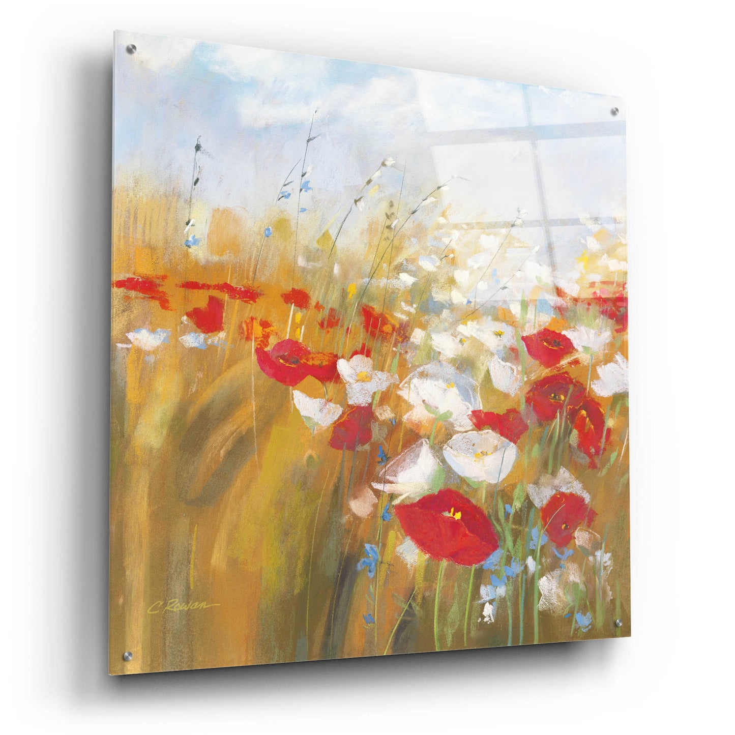 Epic Art 'Poppies And Larkspur I' by Carol Rowan, Acrylic Glass Wall Art,36x36