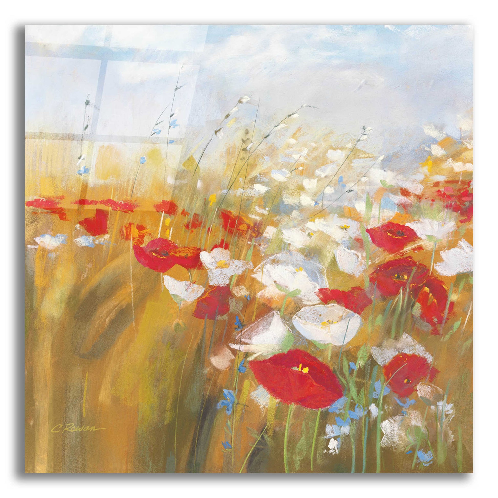 Epic Art 'Poppies And Larkspur I' by Carol Rowan, Acrylic Glass Wall Art