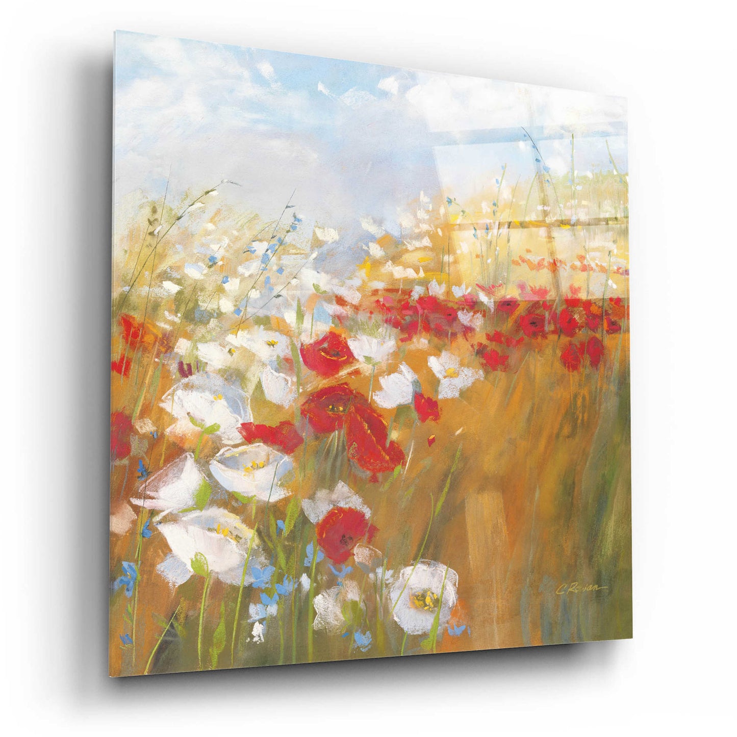 Epic Art 'Poppies And Larkspur II' by Carol Rowan, Acrylic Glass Wall Art,12x12