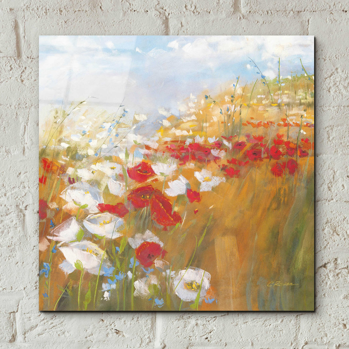 Poppies And Larkspur II by Carol Rowan - 12x12 acrylic wall art in a room