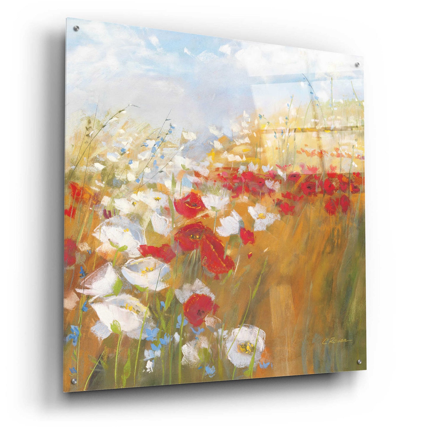 Epic Art 'Poppies And Larkspur II' by Carol Rowan, Acrylic Glass Wall Art,36x36